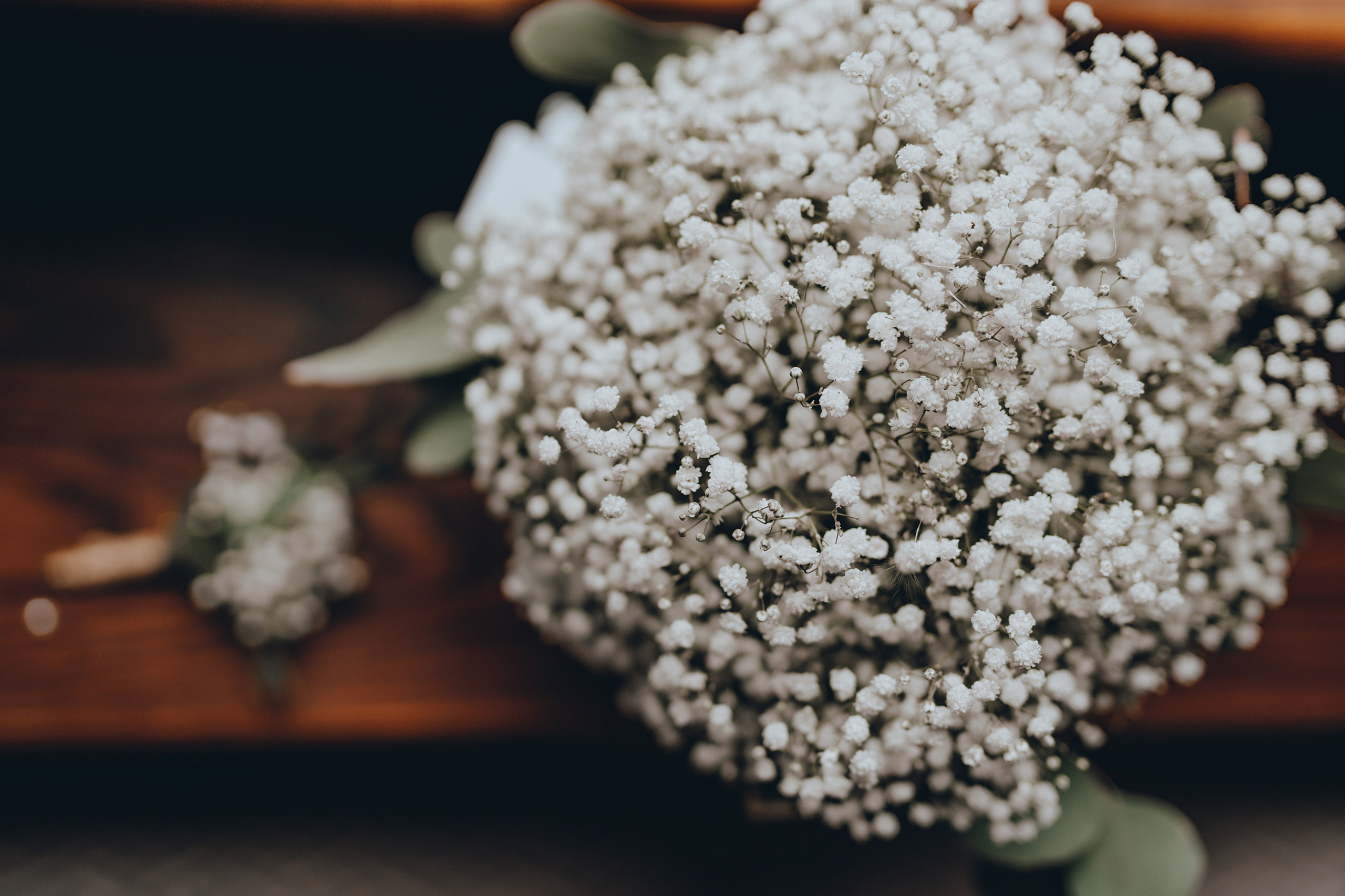 Julia & Daniel. Main