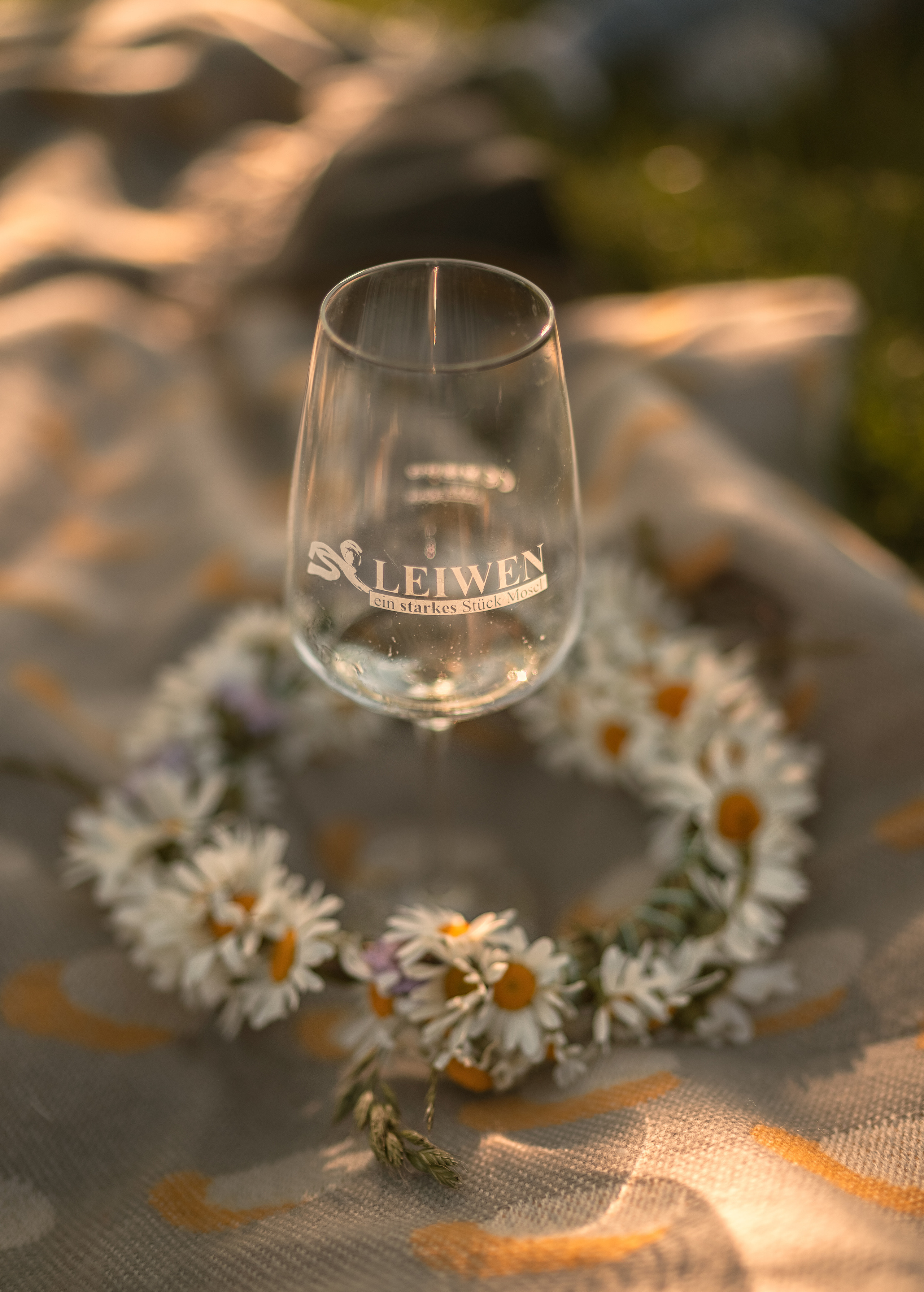 Летний пикник. Семейный, детский и женский фотограф в Германии, Трире