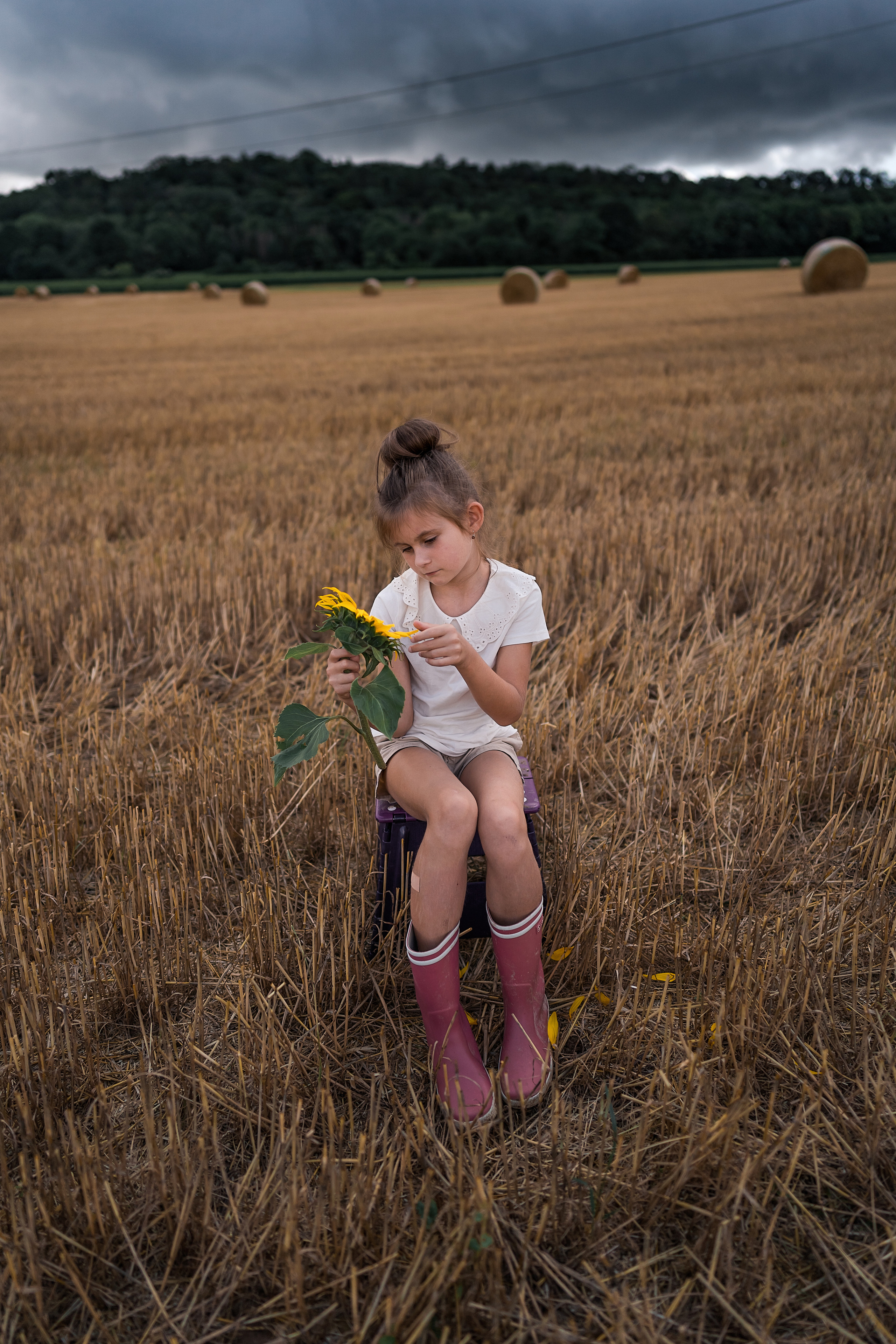 Подсолнухи дарят солнечное настроение даже в пасмурную погоду. Семейный, детский и женский фотограф в Германии, Трире