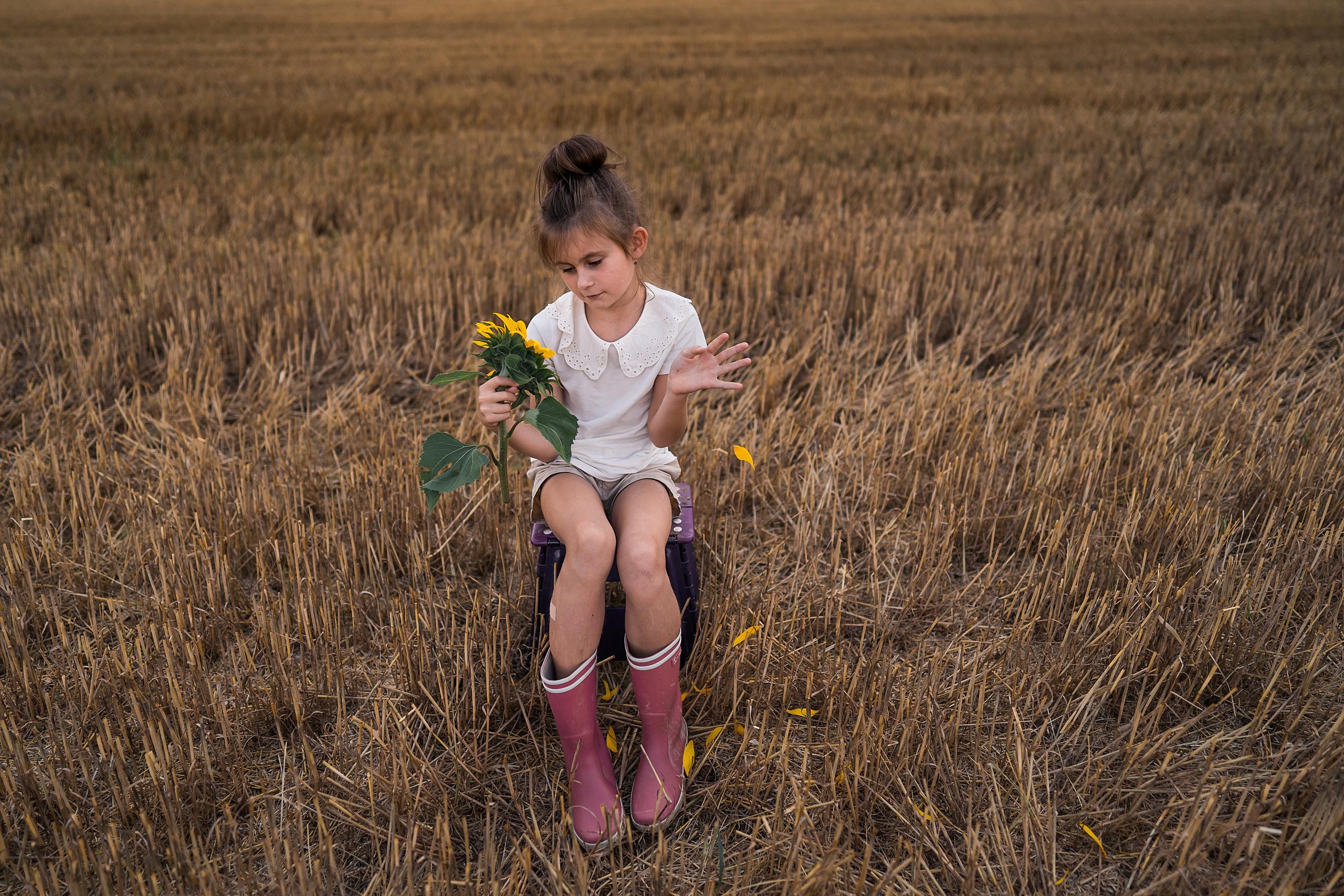 Подсолнухи дарят солнечное настроение даже в пасмурную погоду. Семейный, детский и женский фотограф в Германии, Трире