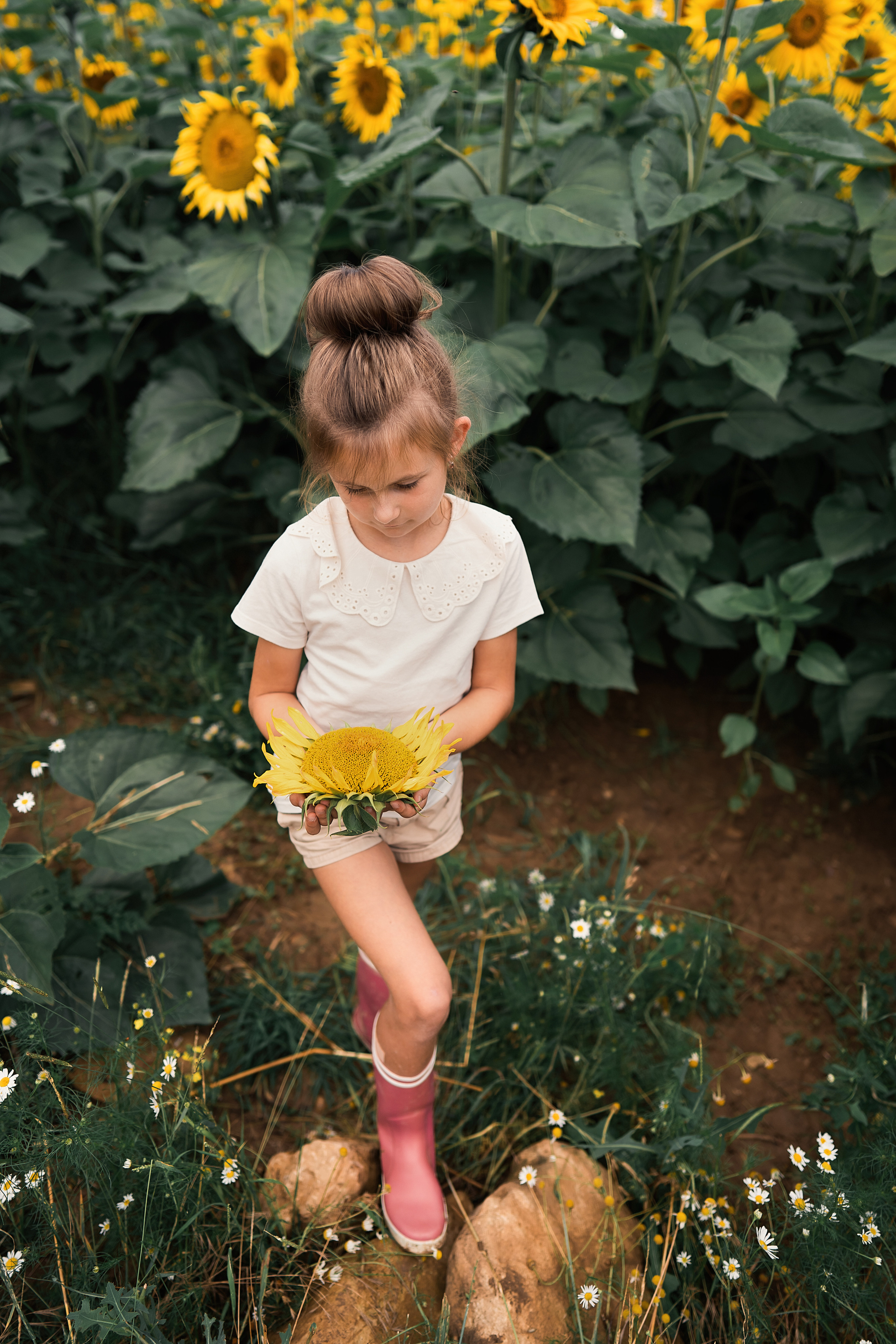 Подсолнухи дарят солнечное настроение даже в пасмурную погоду. Семейный, детский и женский фотограф в Германии, Трире