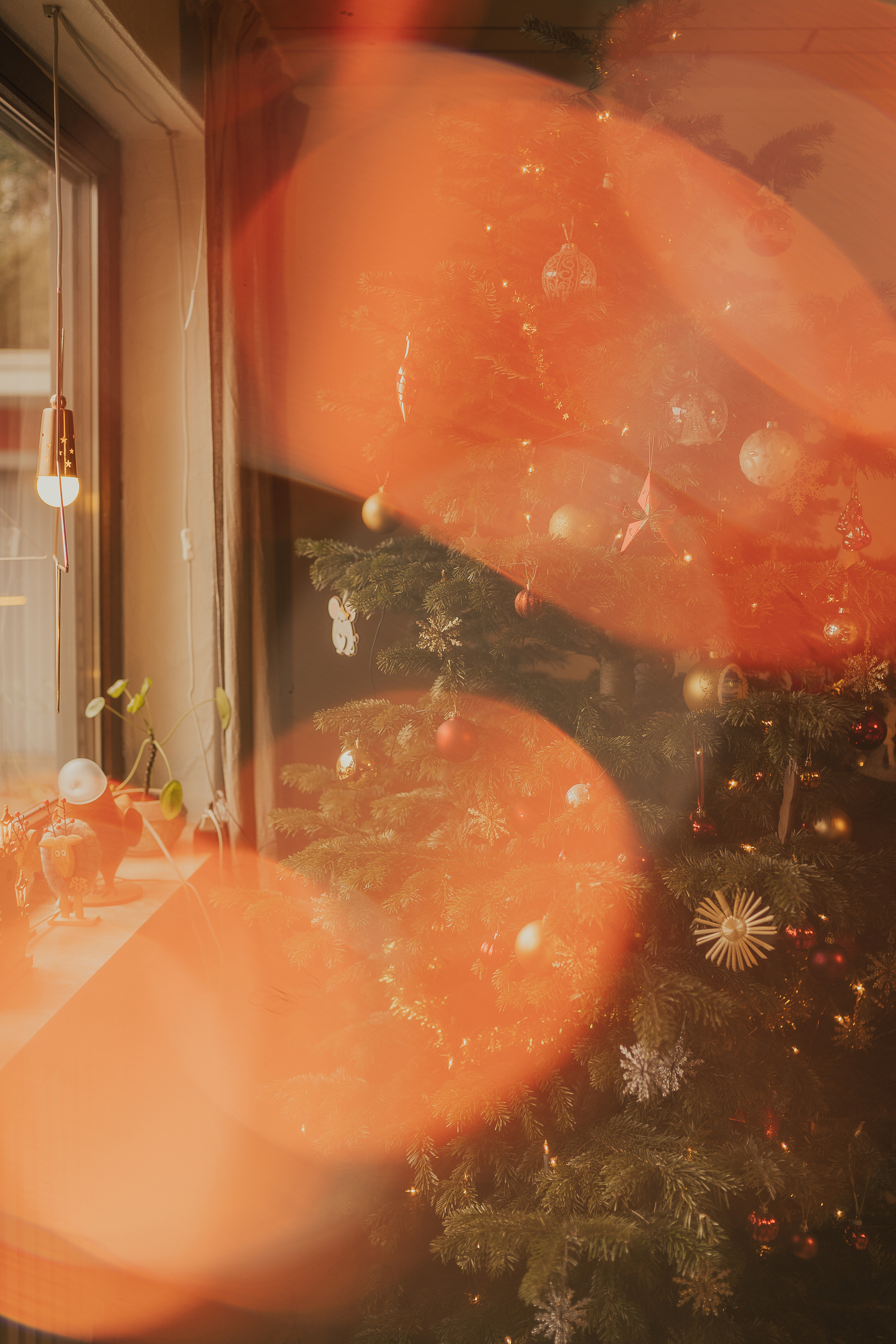 Weihnachts Portrait. Familien, Lifestyle und Portrait Fotografin in Trier, Luxembourg