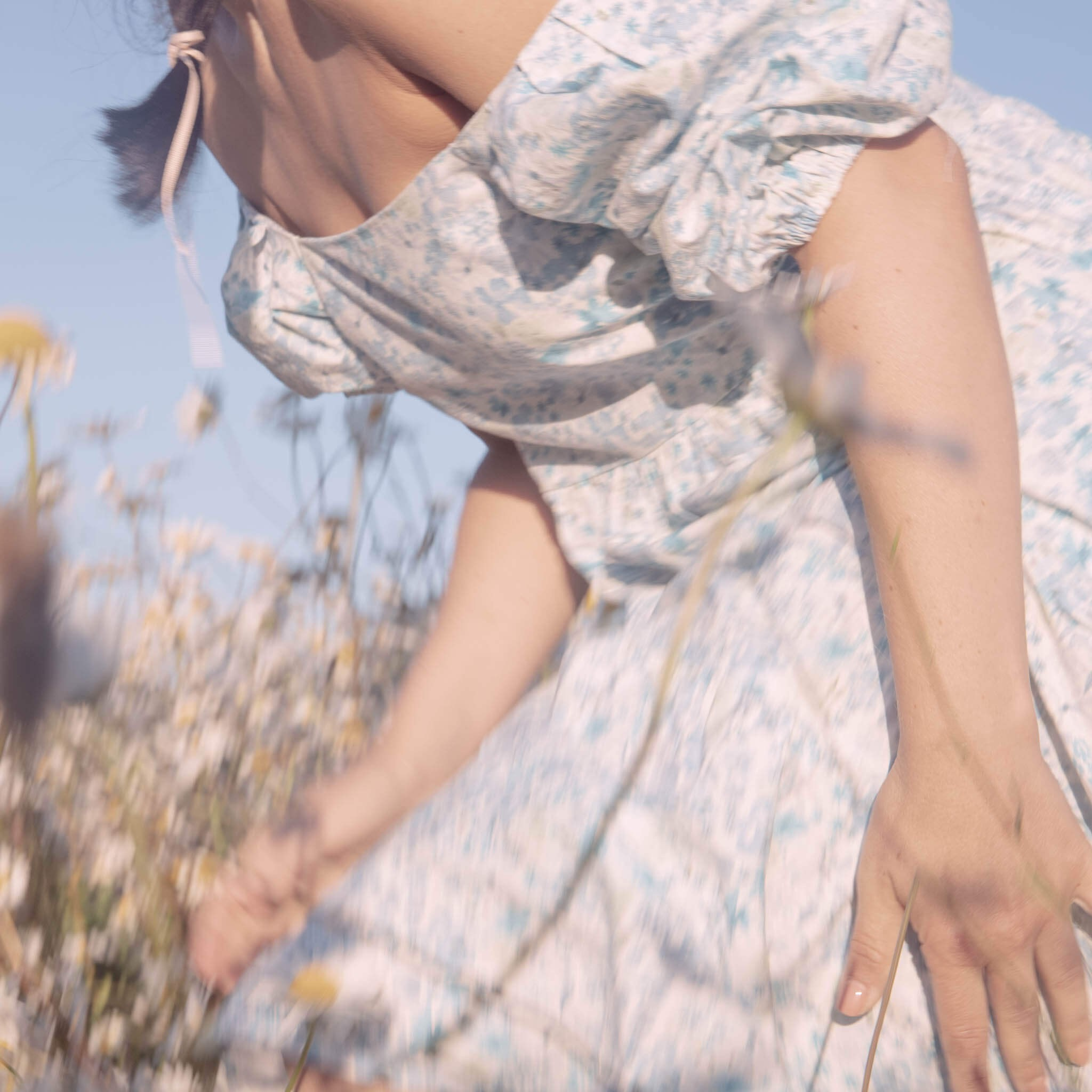 DAISIES. Natalja Poplavska — Visual artist, Photographer, East Sussex, London