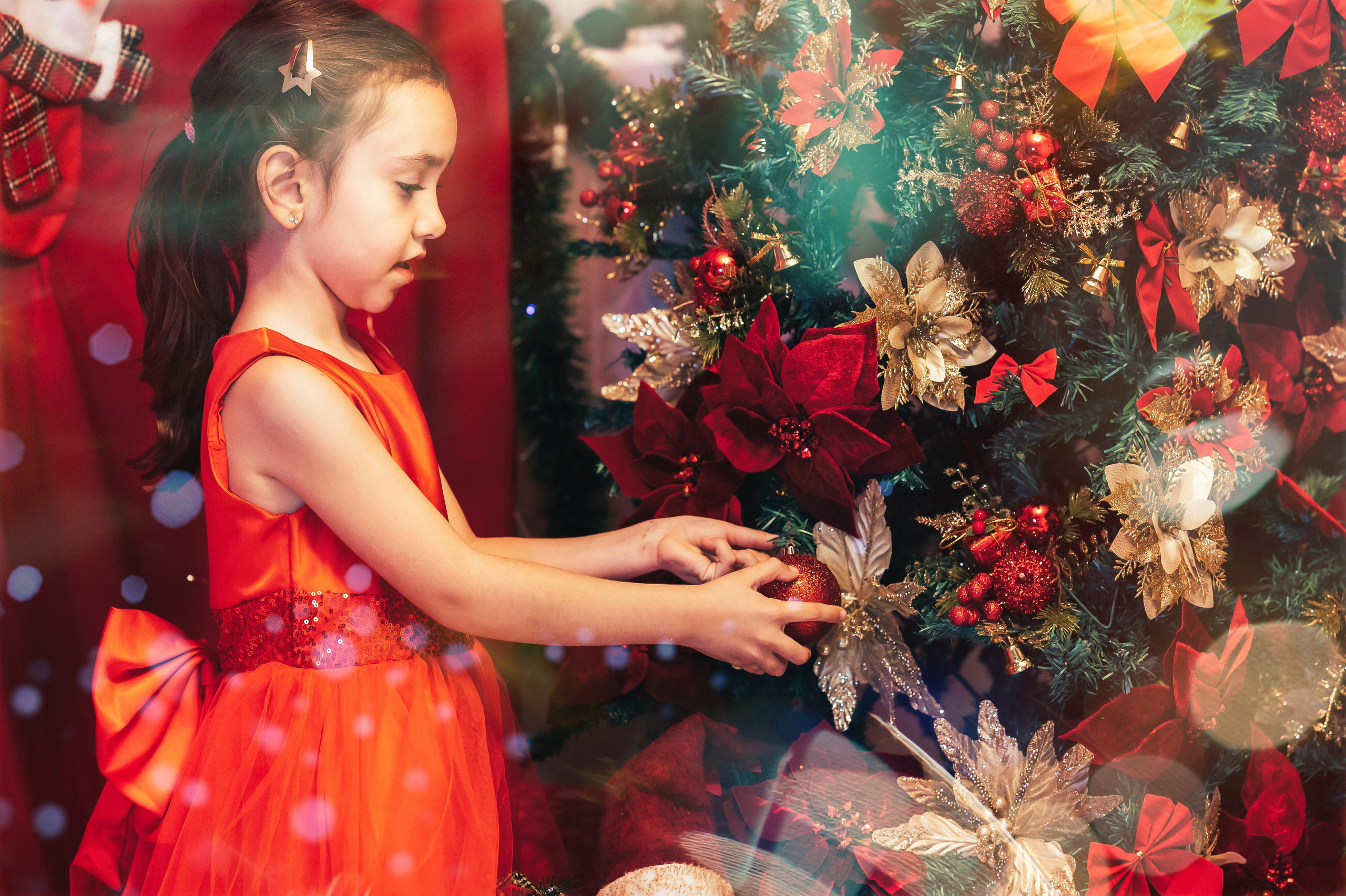 Sedinta Craciun Sofia