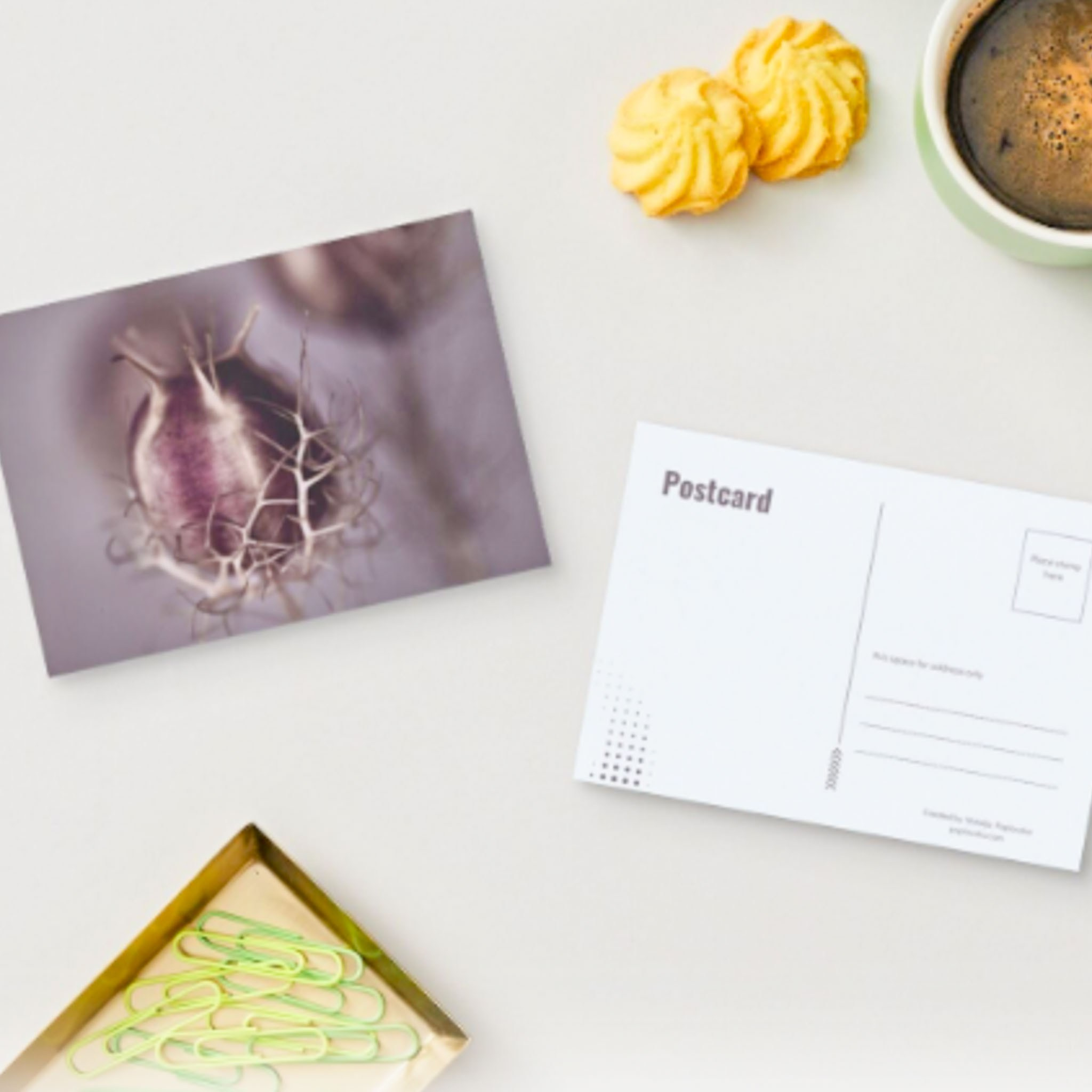 ART POSTCARDS. Natalja Poplavska — Visual artist, Photographer, East Sussex, London