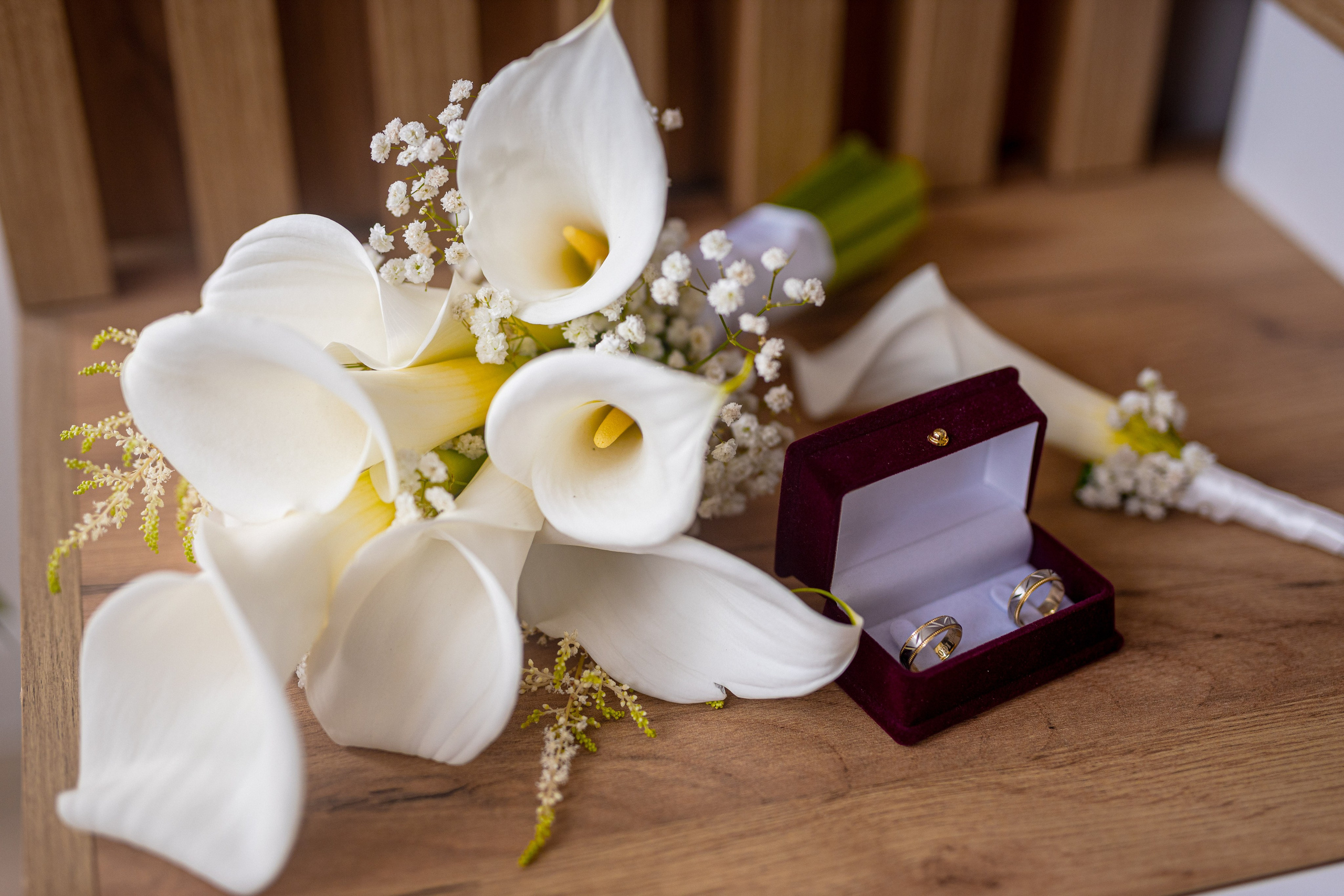 Lara & Vuk. Marko Tucić Photography | Fotograf Zrenjanin