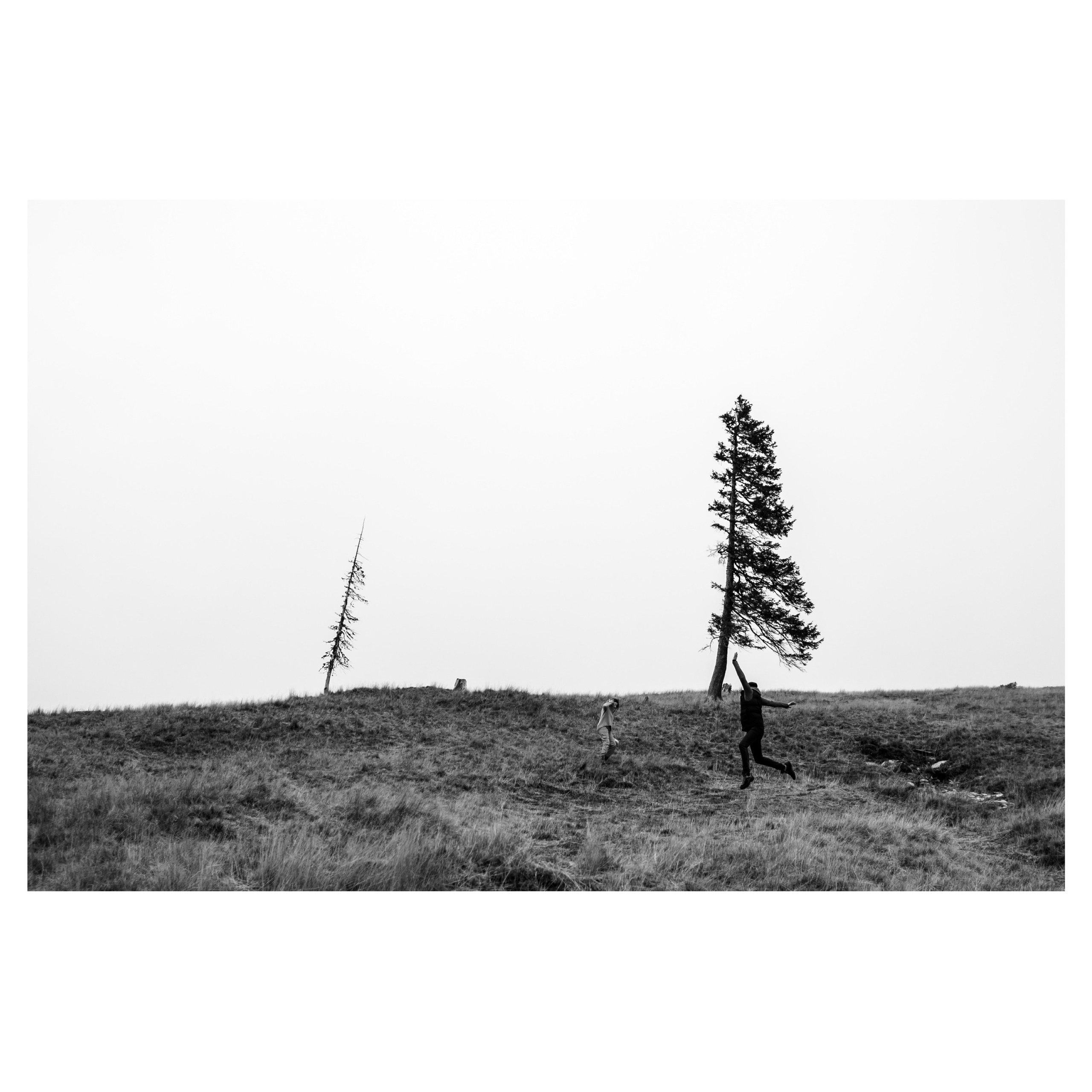 Workshop. Ionut Birceanu