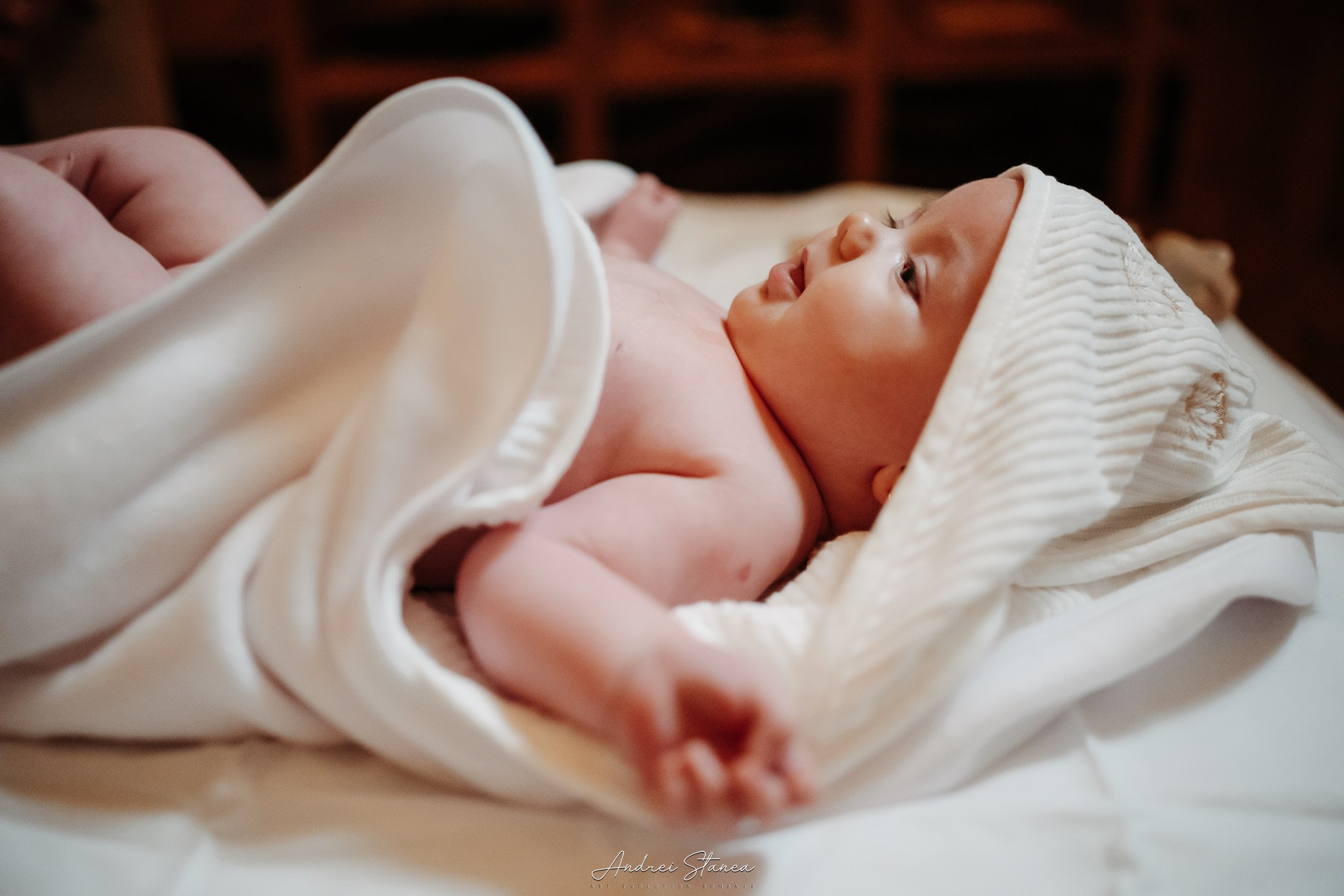 Clara. Andrei Stanea