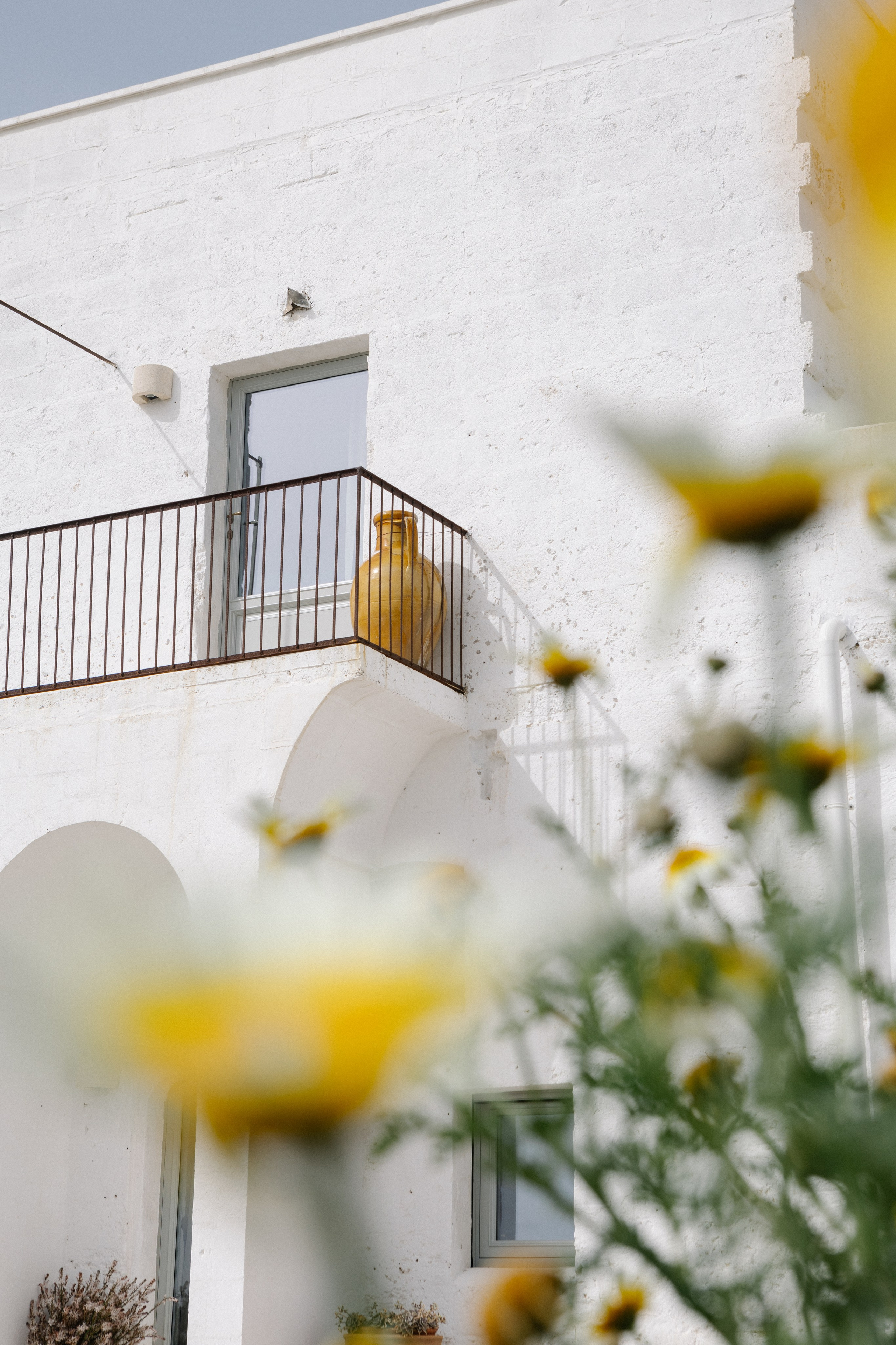 Alyssa&Sean. Весільний фотограф Вікторія Саврук