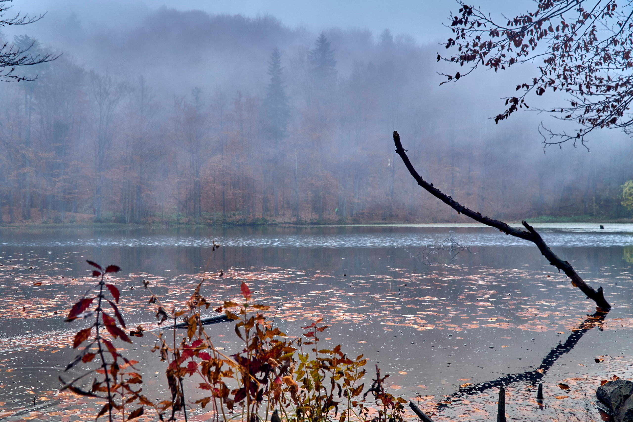 Bieszczady - tu zatrzymuje się czas. Andriej Szypilow - Fotografia & Wideografia