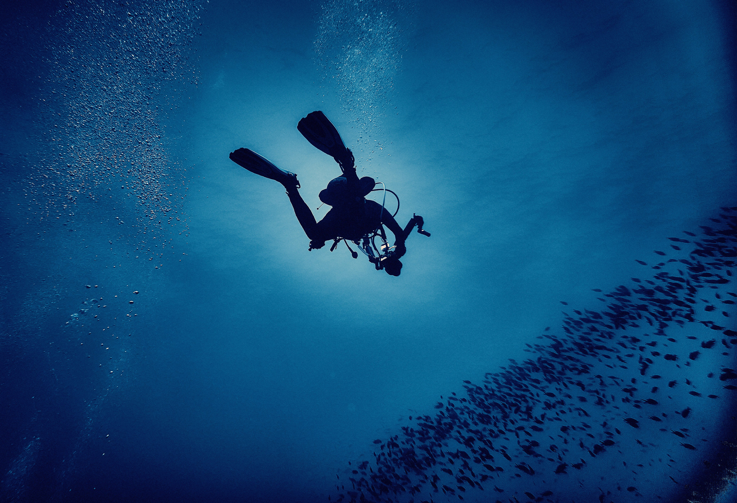 Fotograf podwodny Andriej Szypiłow. Andriej Szypilow - Fotografia & Wideografia