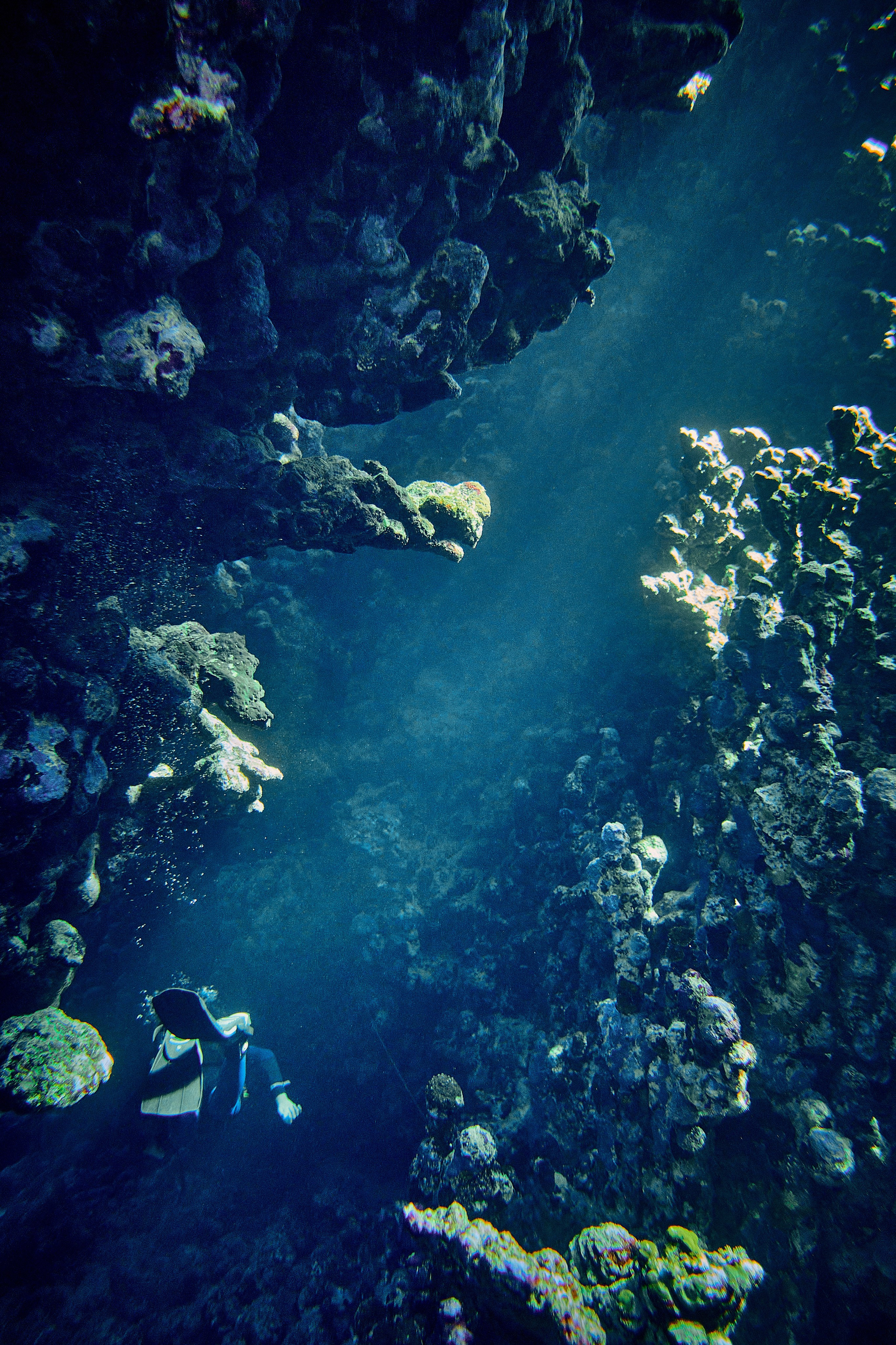 2023-11 - Diving Safari Deep South Egypt. Андрей Шипилов — Фотография & Видеография