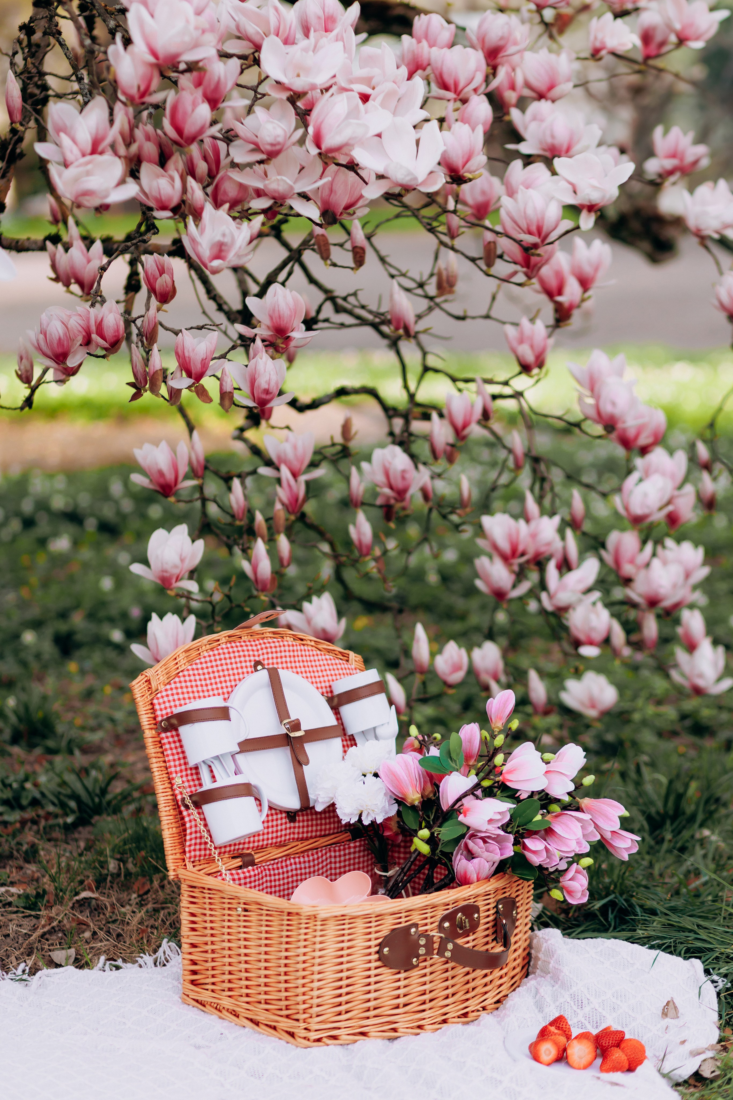 Tatiana, Alisa, Daria. Wedding and Family Photograph