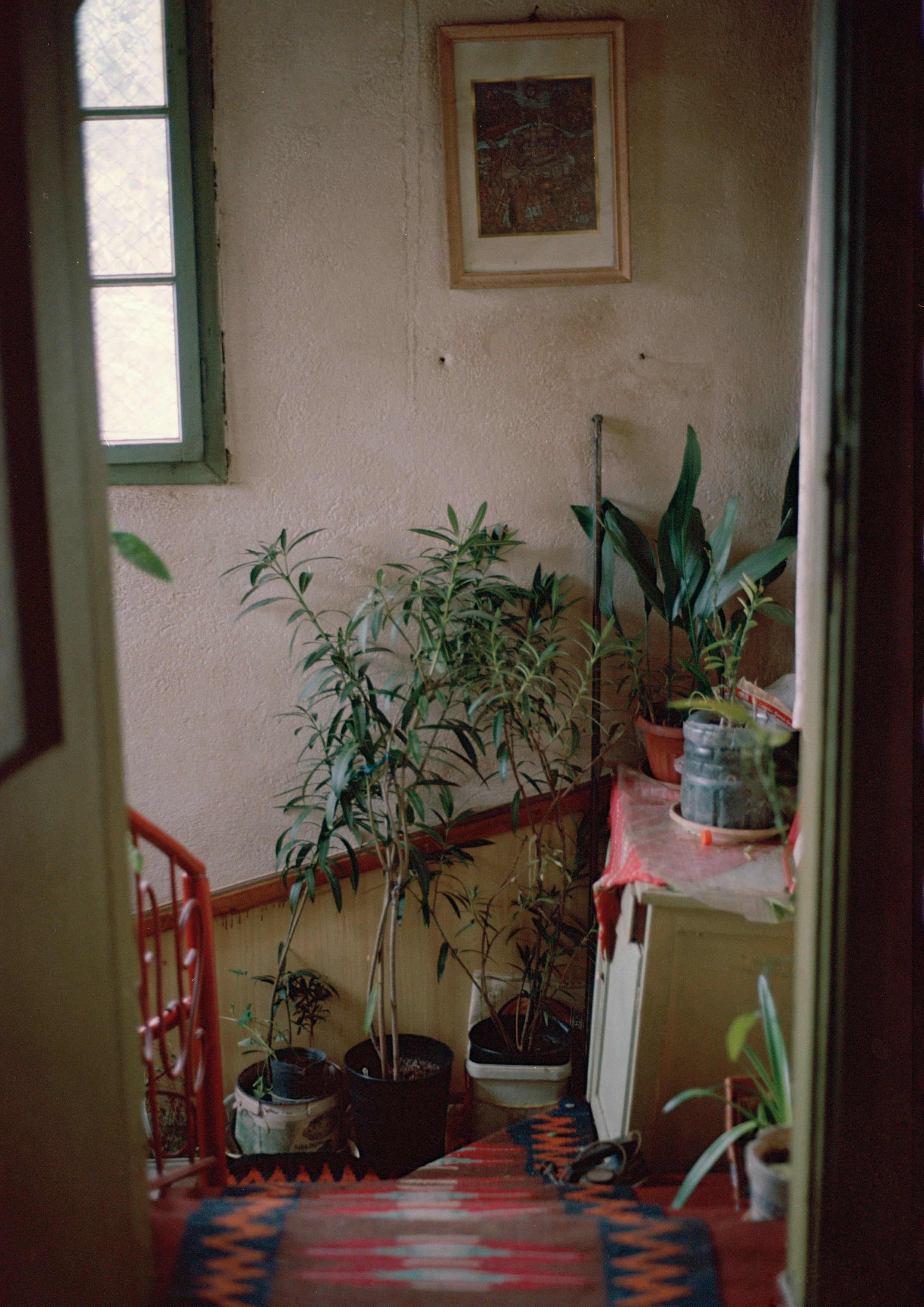 Still Home. Professional Photographer, Videographer in London Dilyana Tankova