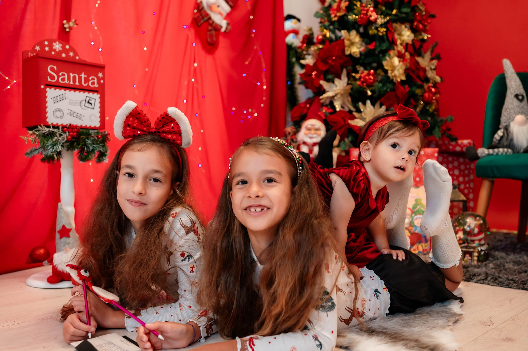 Sedinta Craciun Alina