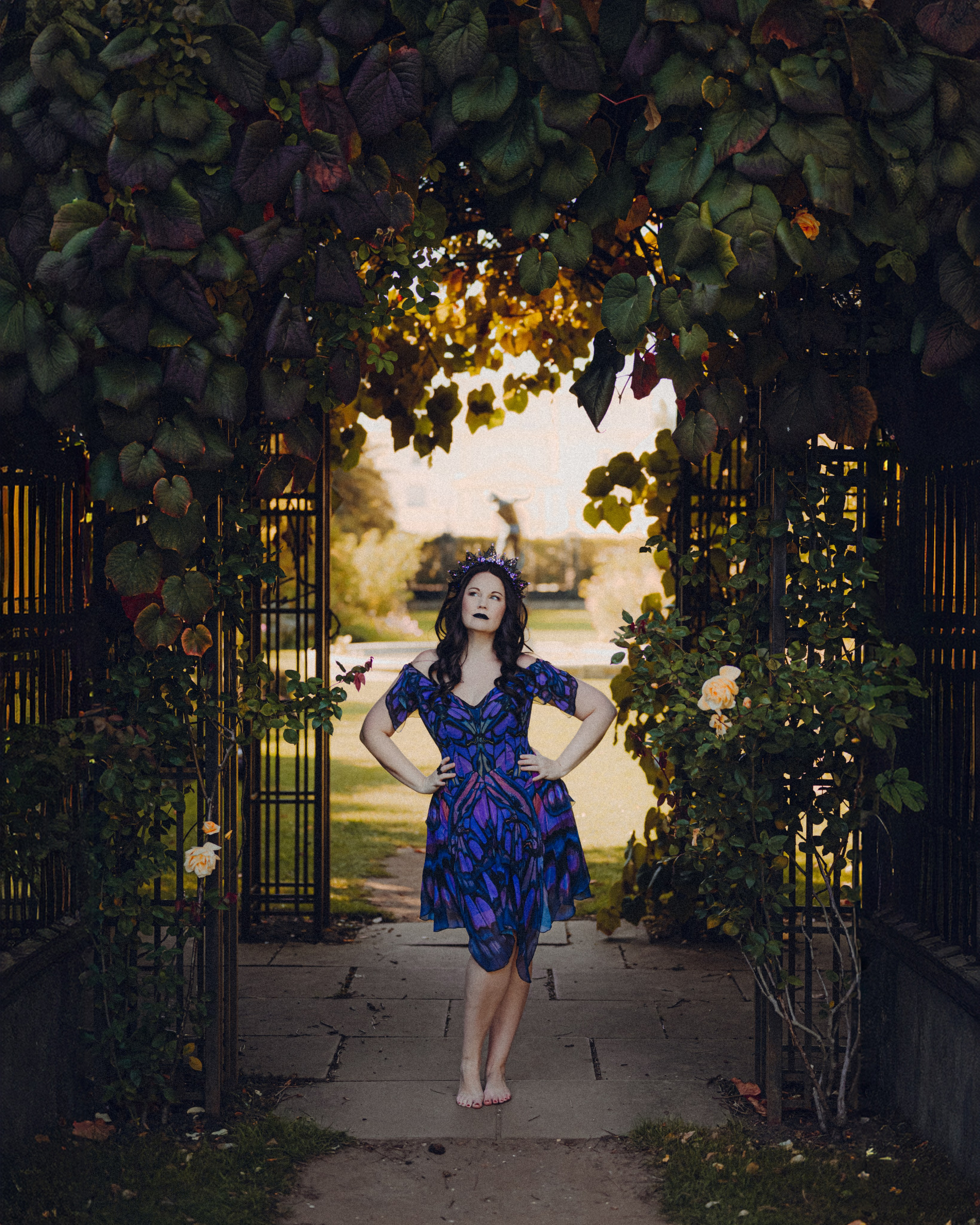 Butterfly purple fairy in a blooming garden. Moth & Moss Photography