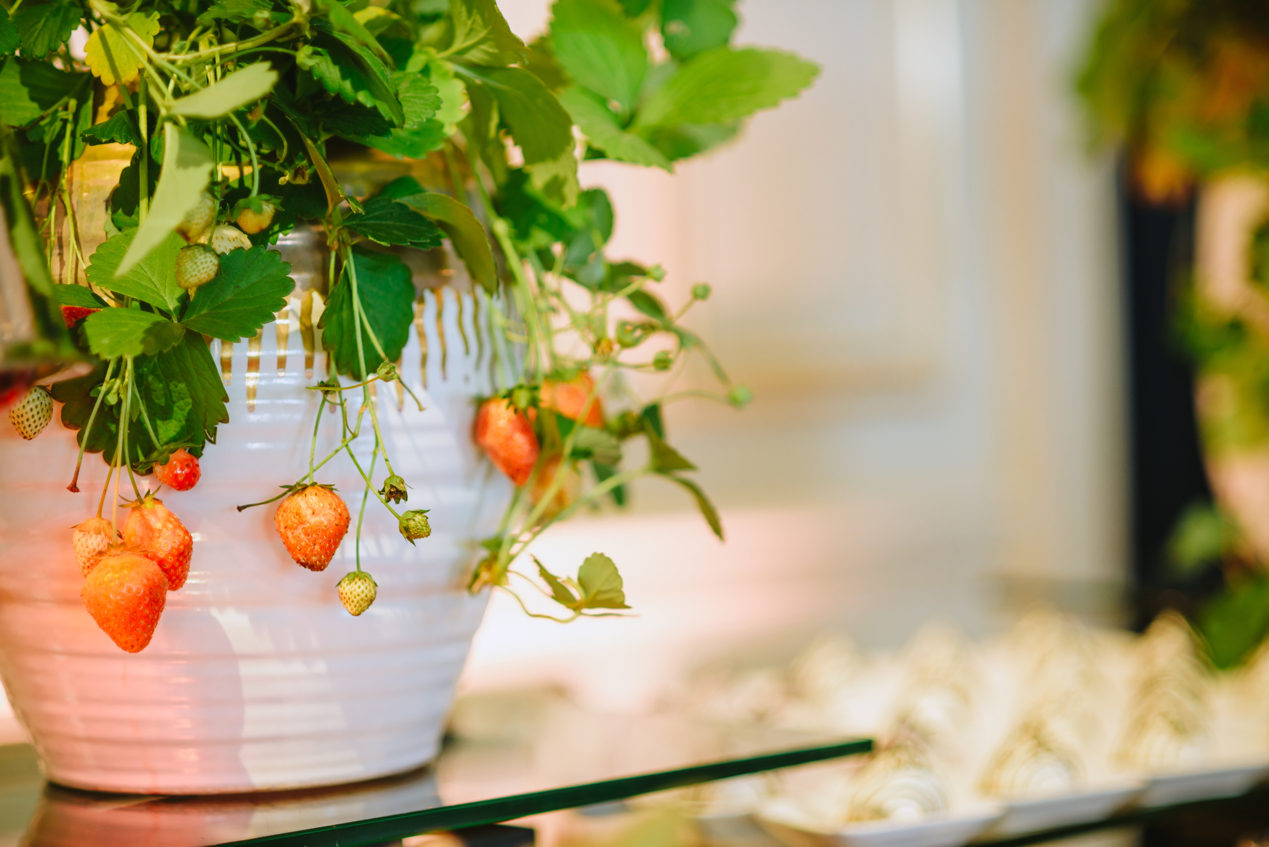 Декор бизнес-мероприятия для ивент-агентства. Ksenia Marchand/ Lifestyle photographer in Paris