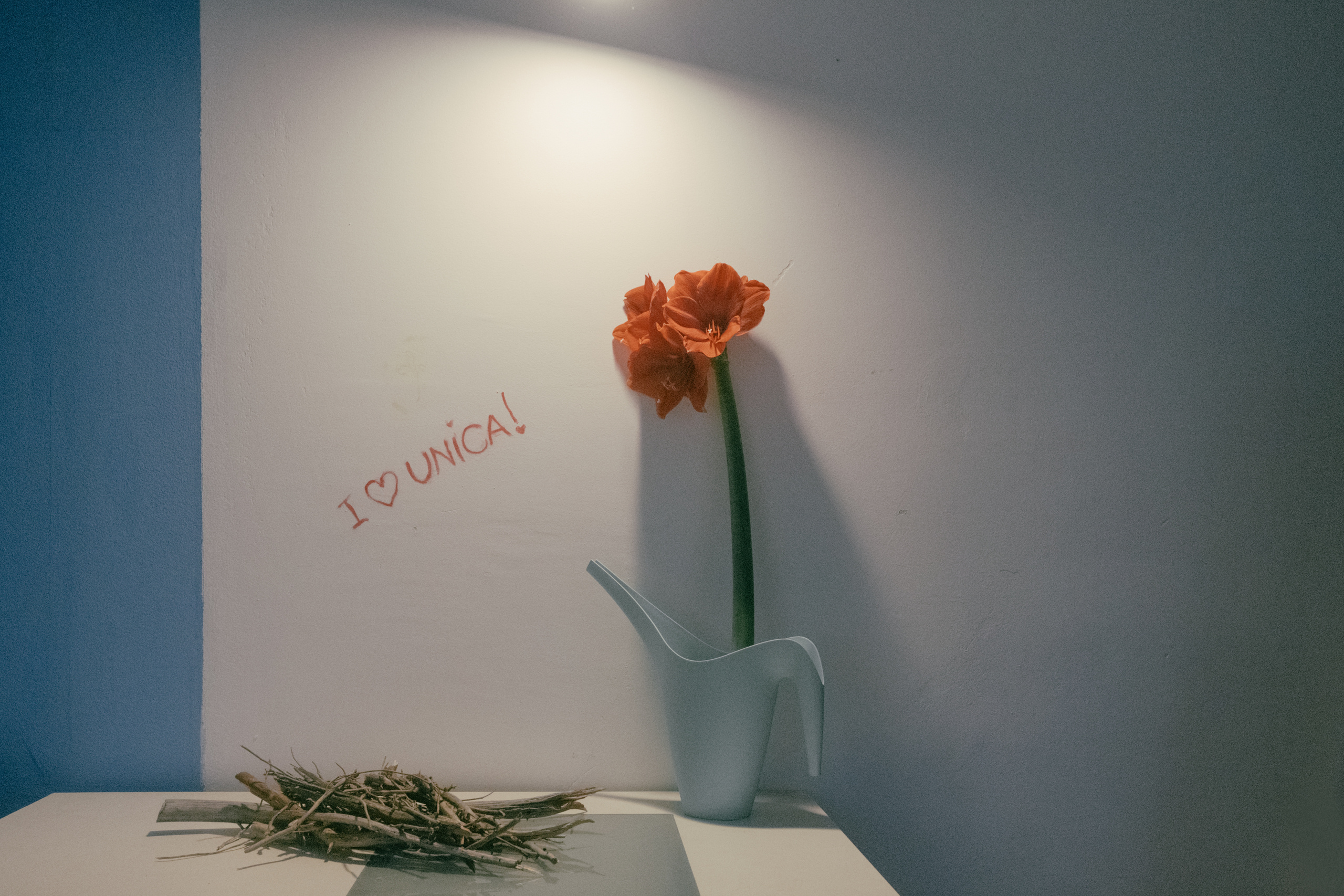 Современная фотография. Photographer Anastasiya Dubrovina