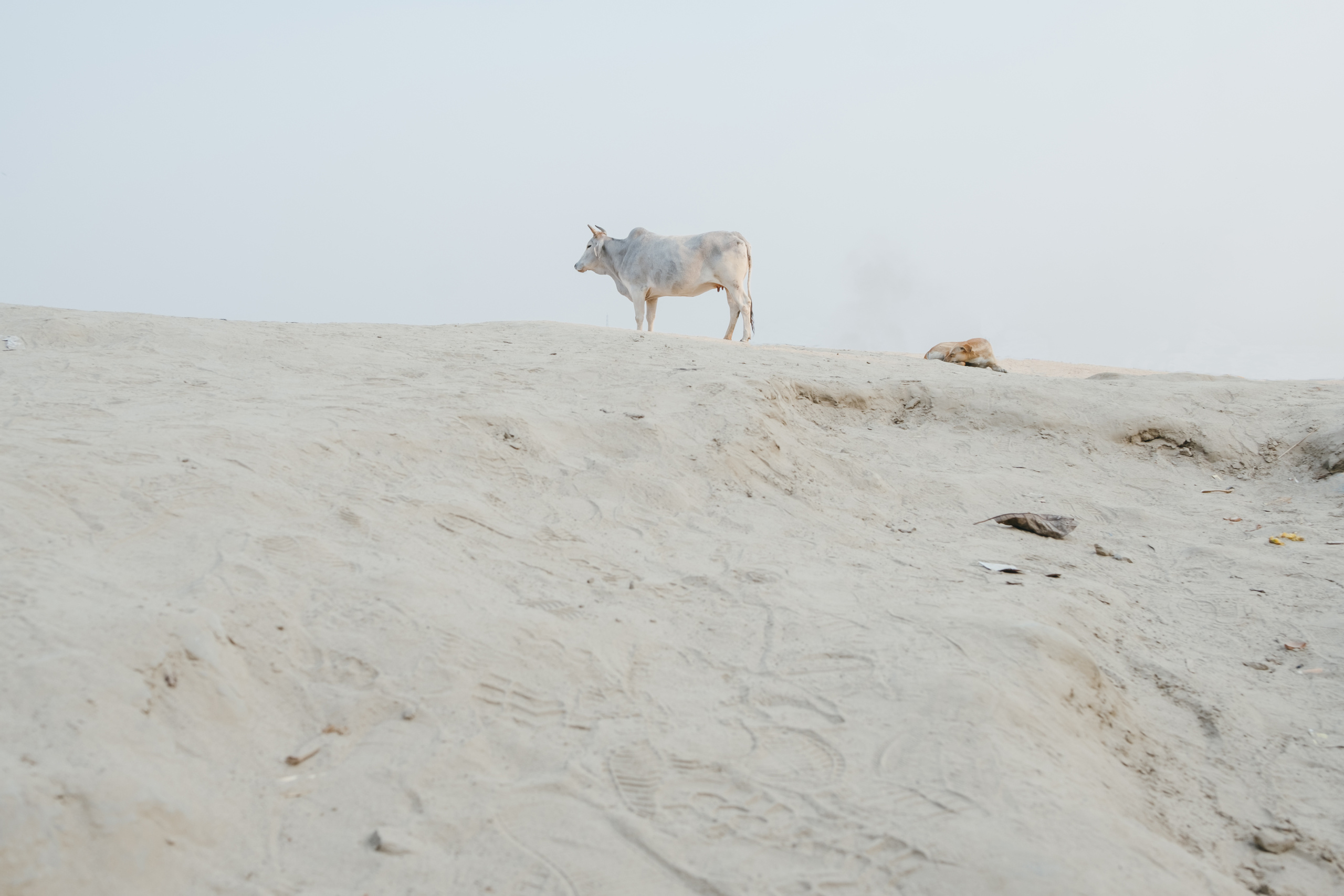 Современная фотография. Photographer Anastasiya Dubrovina