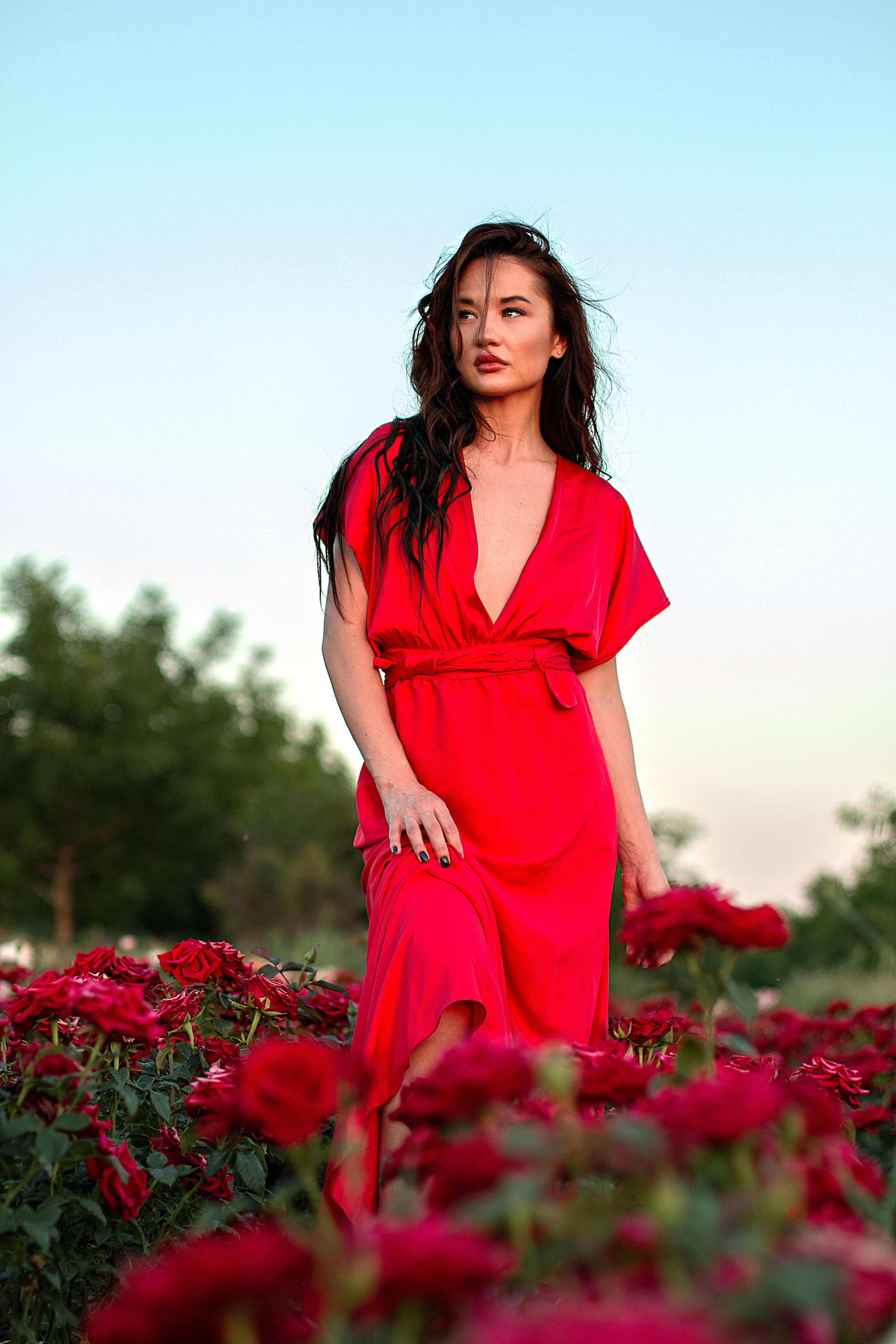 Розы. Детский и семейный фотограф в г. Бельцы