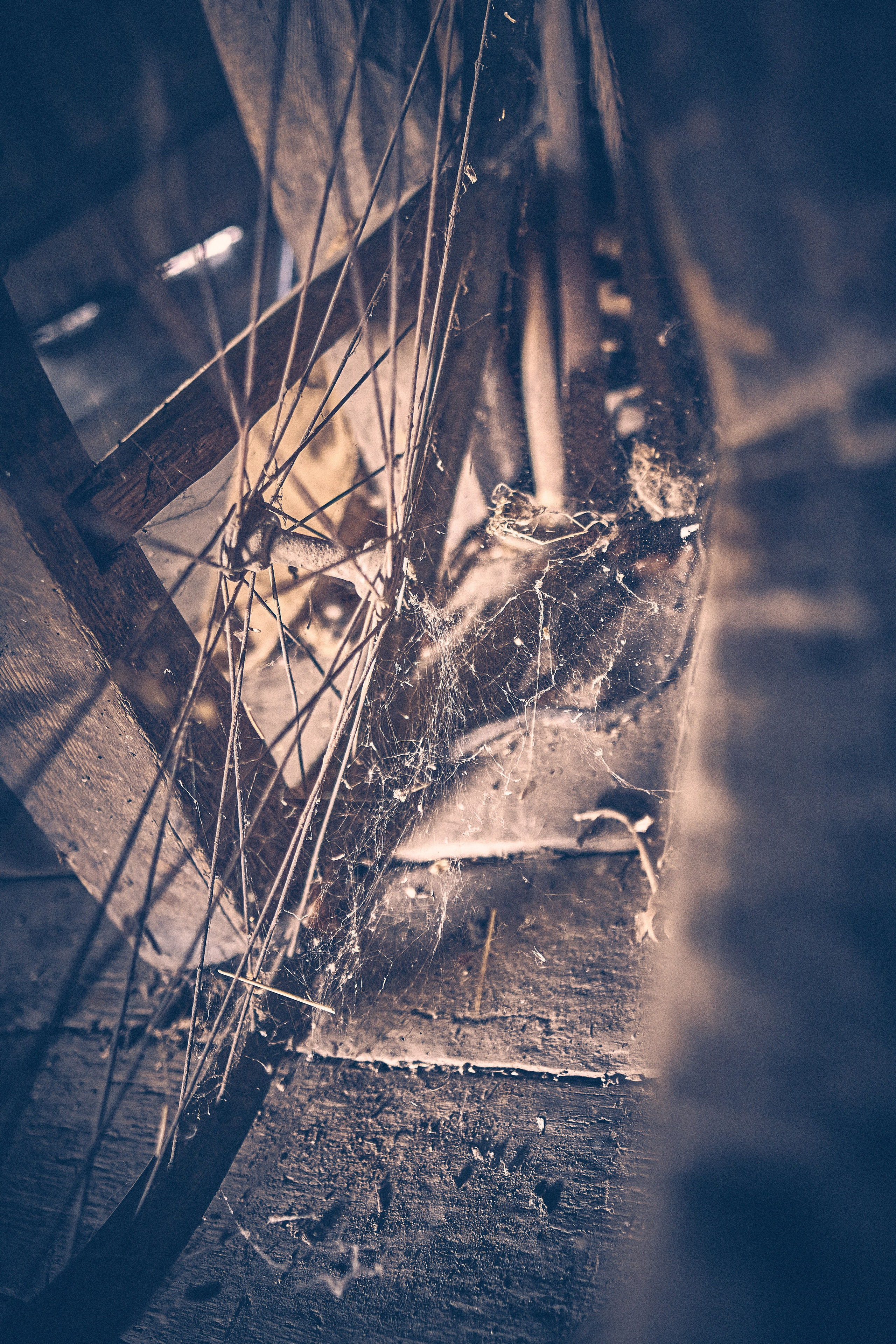 Andriej Szypiłow - Fotograf i Wideograf - Reportaż artystyczny - wizyta rodzinna in the middle of nowhere. Zabita dechami wieś na granicy Białorusi i Polski.