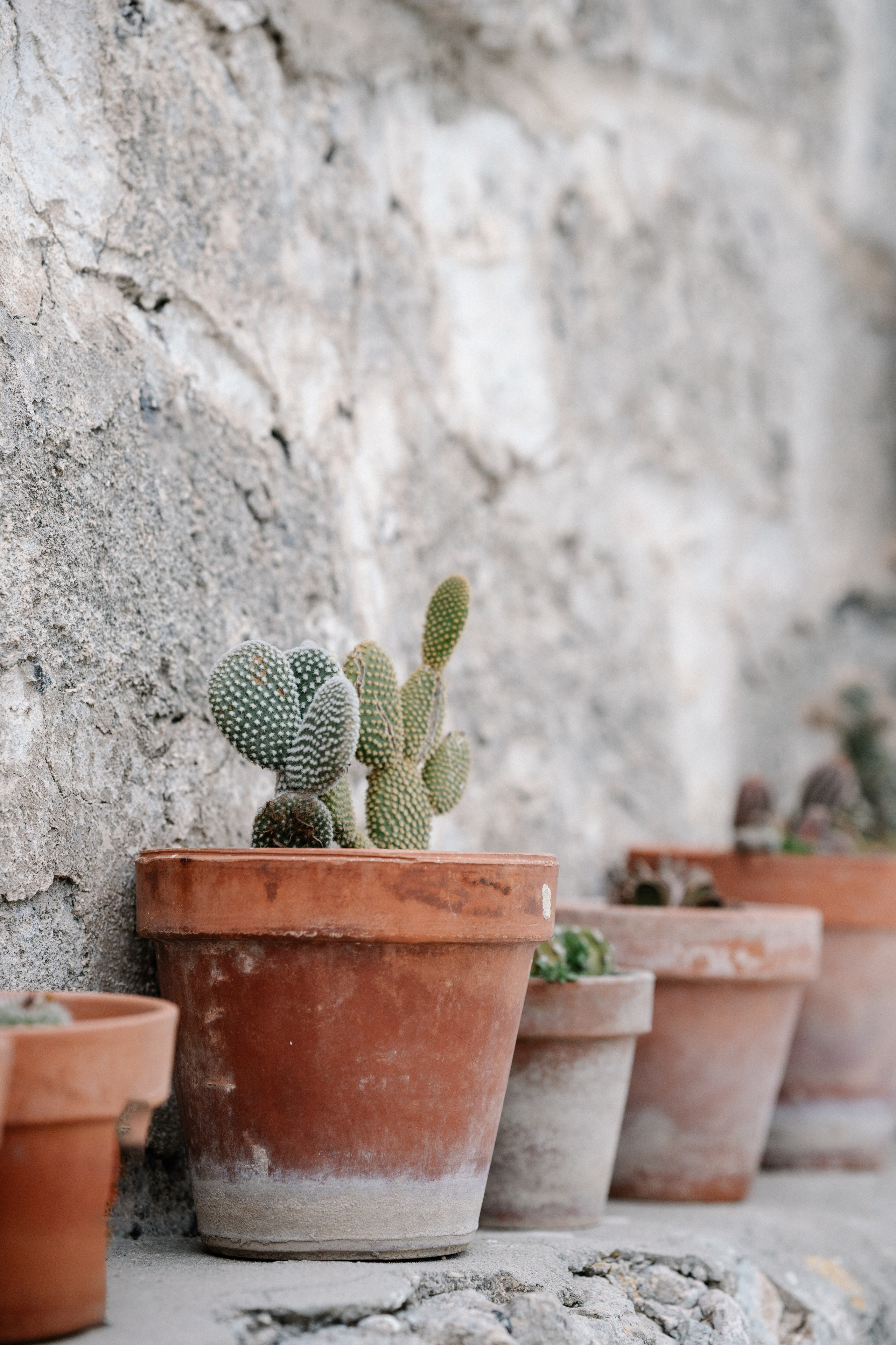 Alyssa&Sean. Весільний фотограф Вікторія Саврук