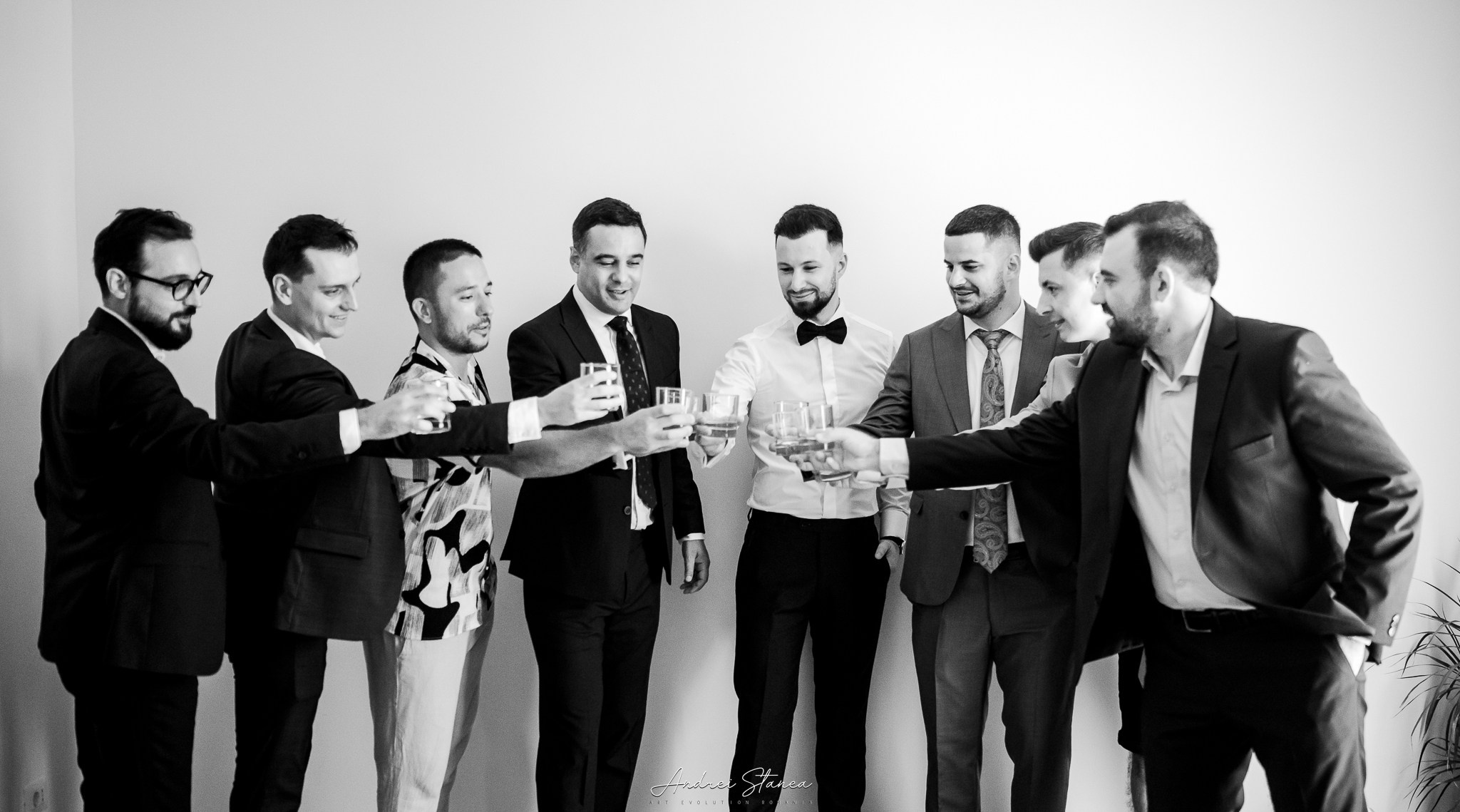 Portofolio. Andrei Stanea