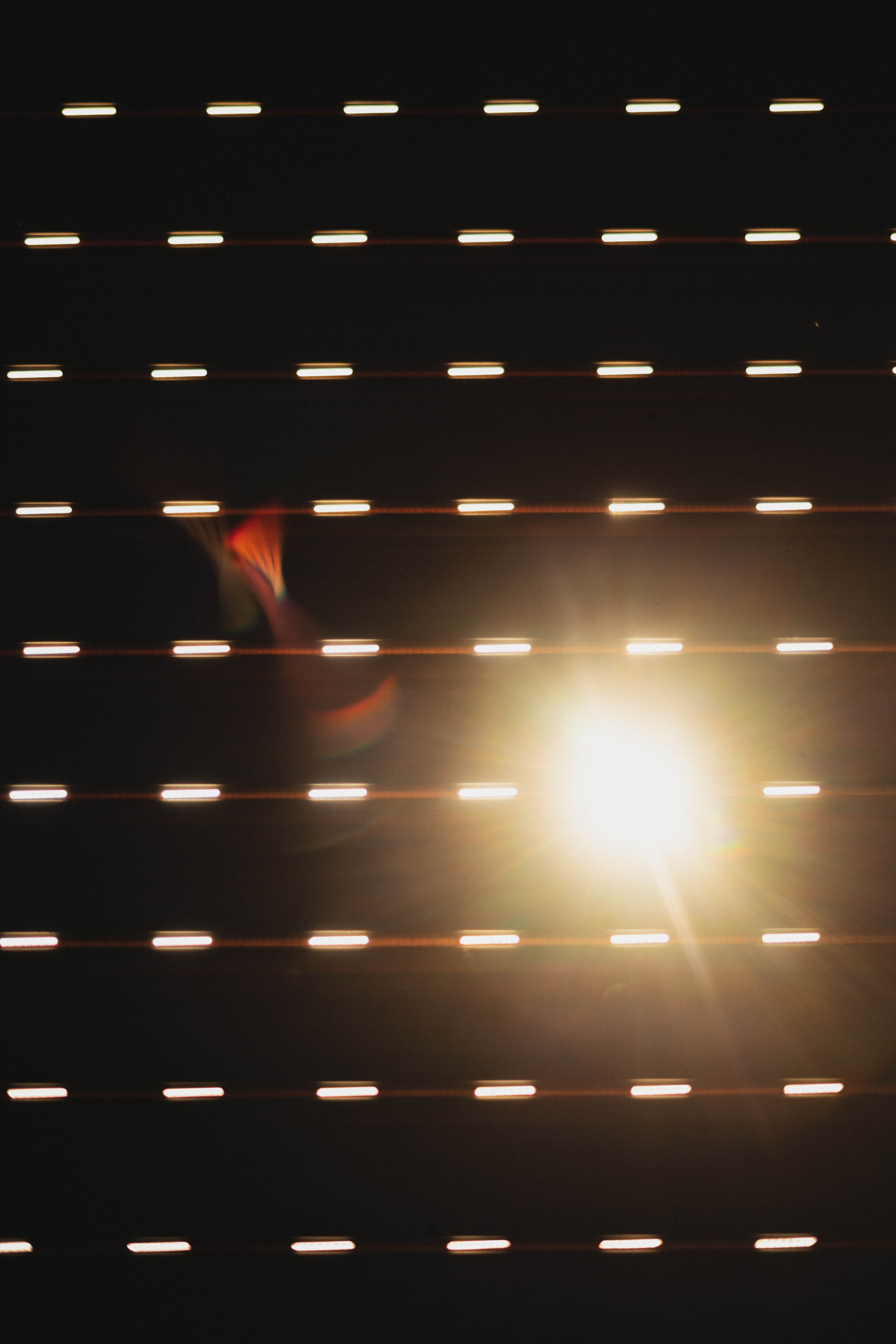 Sunset. Zhukov studio