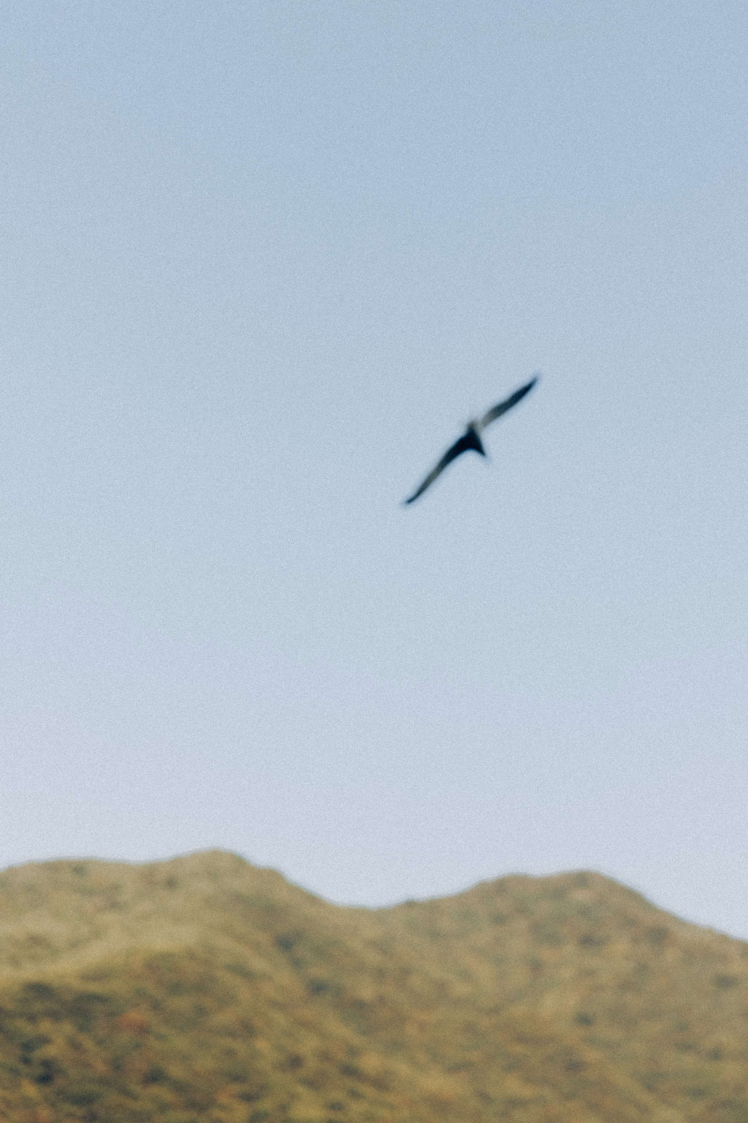 Breeannan & Daniel. Relais Villa Vittoria, Lake Como. Фотограф в Милане Анна Линник