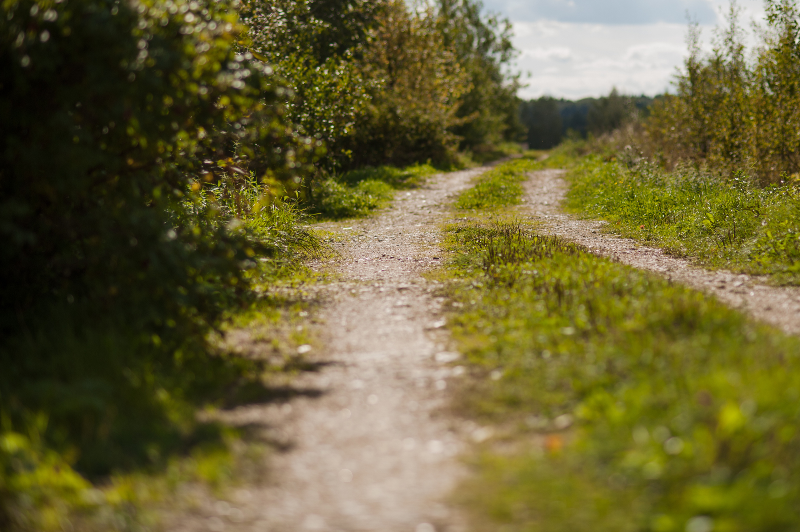 Один самовар и четыре шляпы. Ksenia Marchand/ Lifestyle photographer in Paris