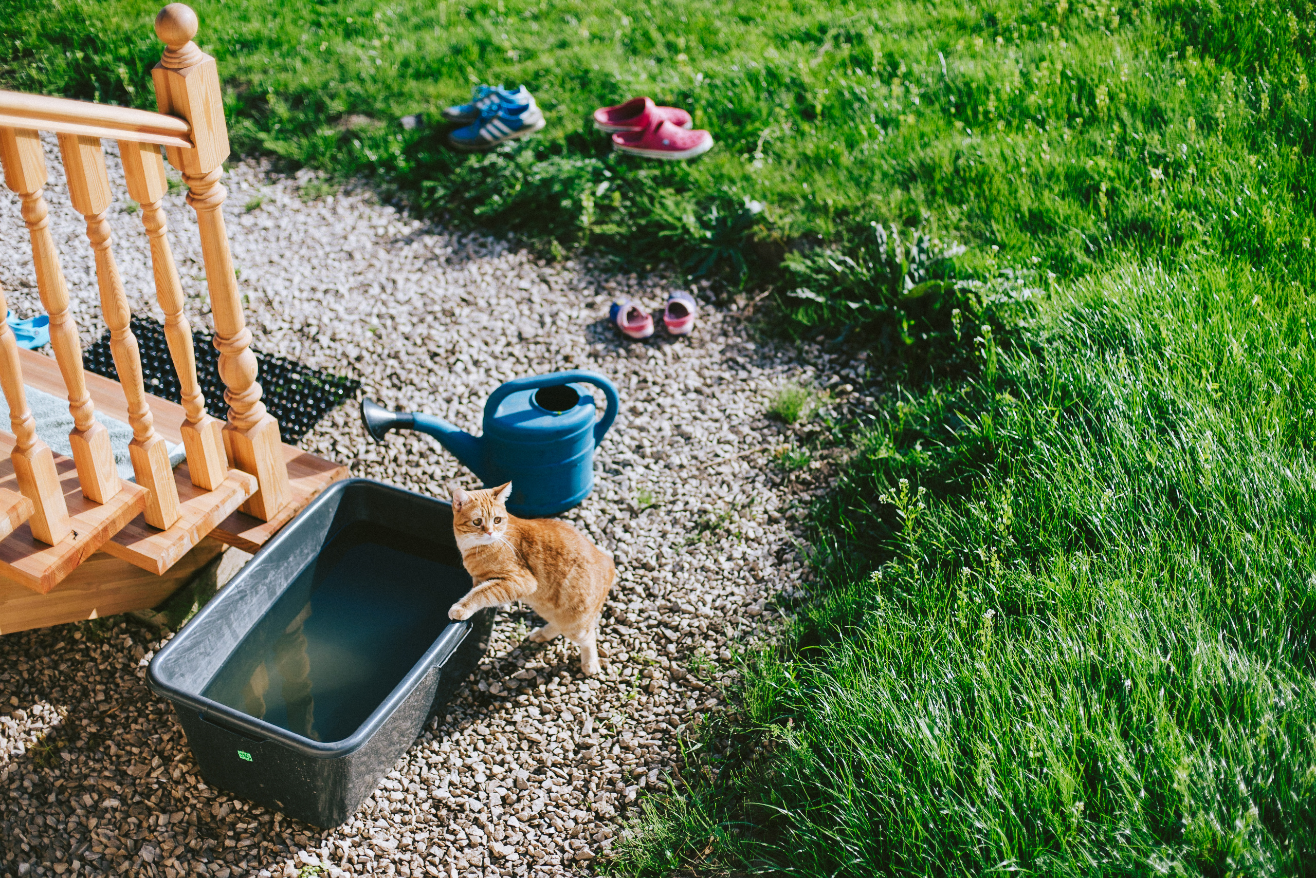 В большой семье. Ksenia Marchand/ Lifestyle фотограф в Париже