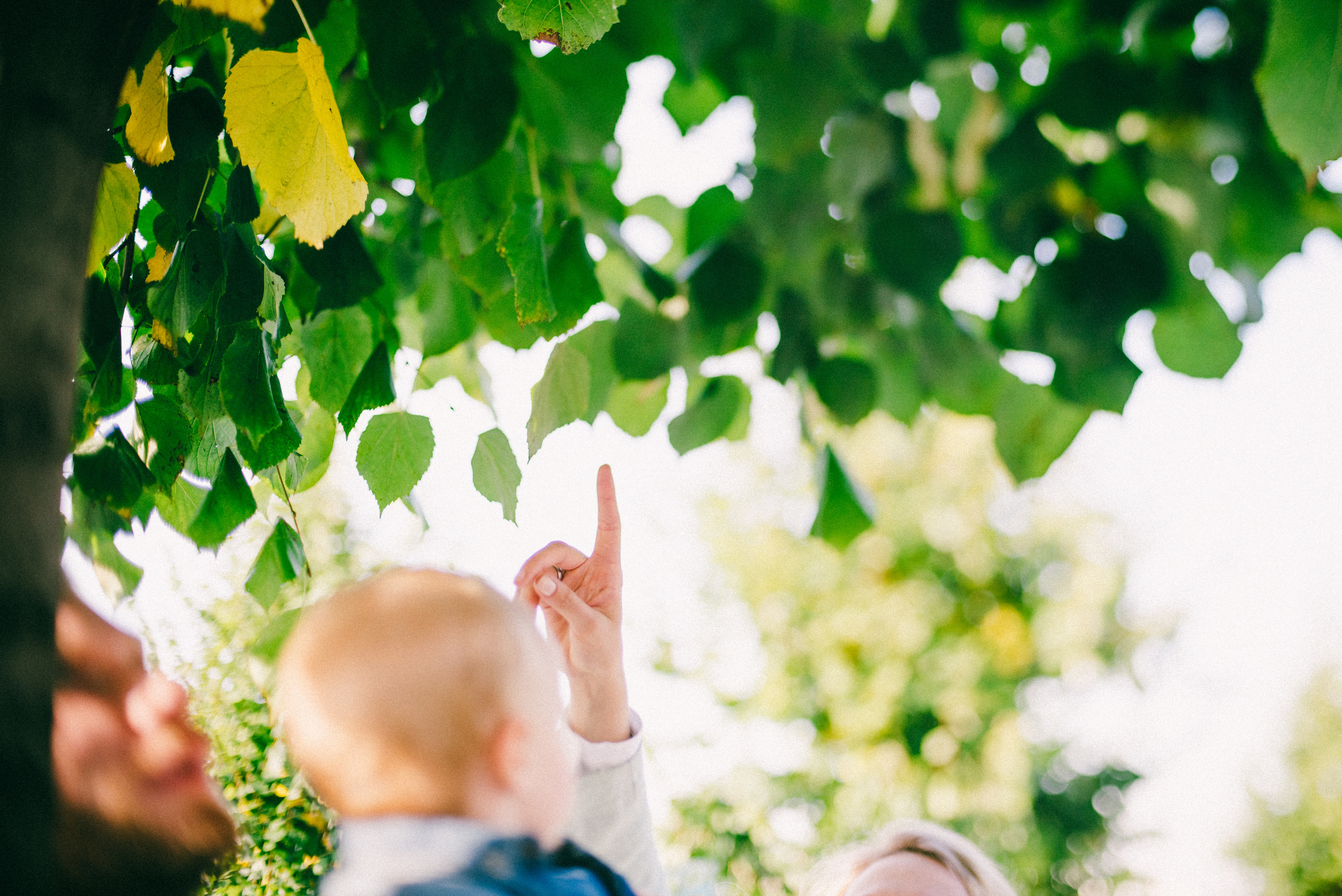 Луч солнца золотого. Ksenia Marchand/ Lifestyle photographer in Paris