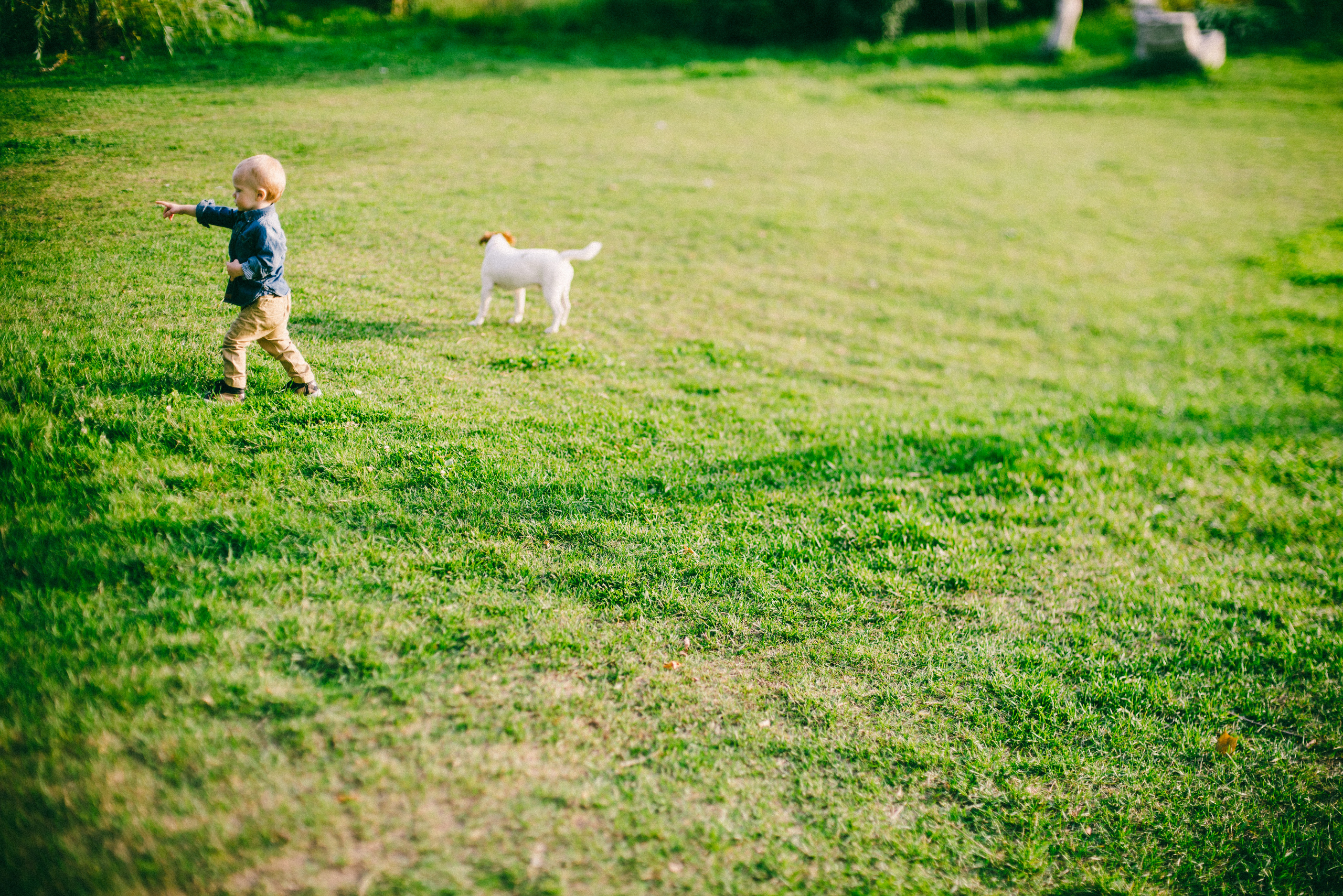 Луч солнца золотого. Ksenia Marchand/ Lifestyle photographer in Paris