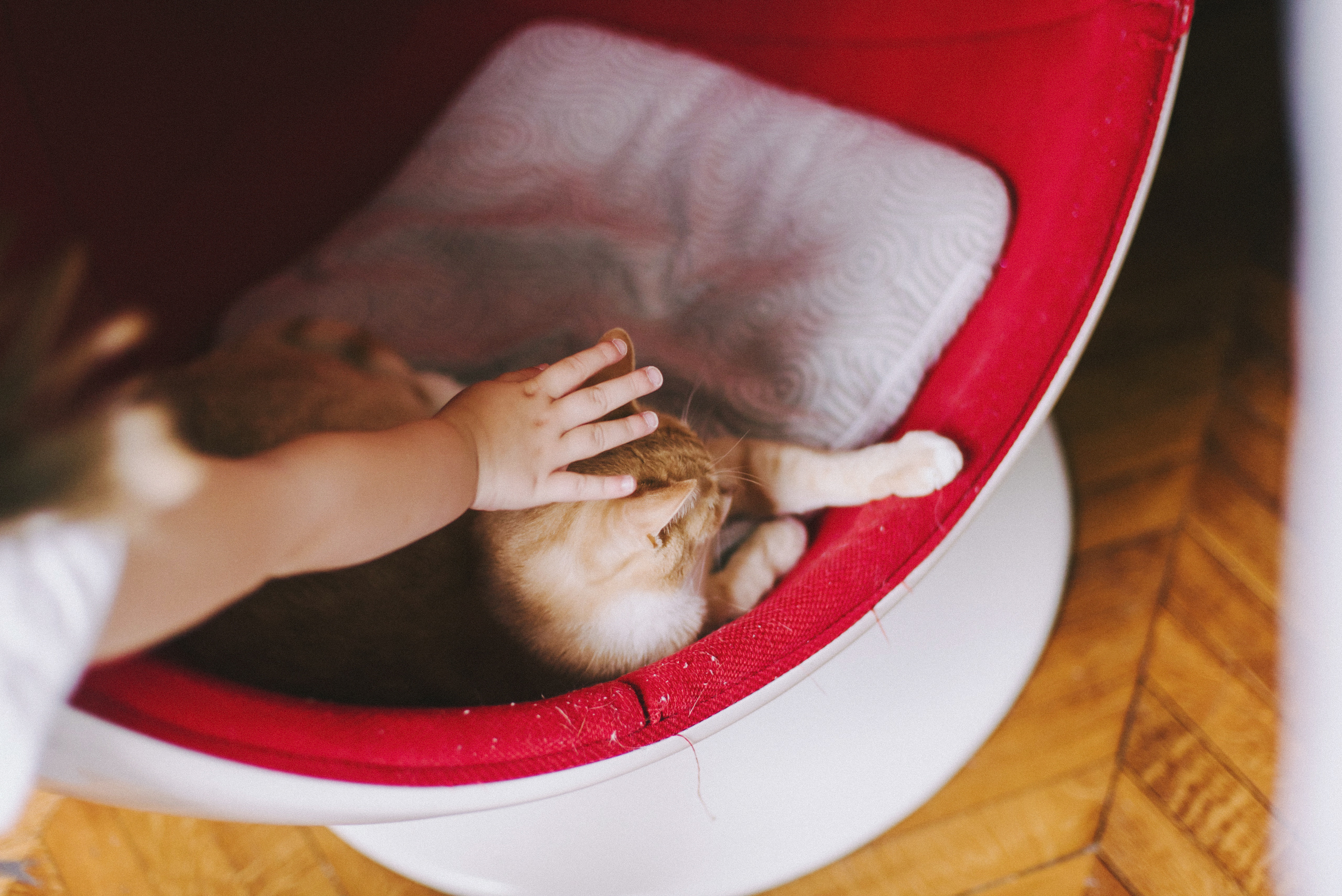 Il était une fois à Paris. Photographe lifestyle à Paris