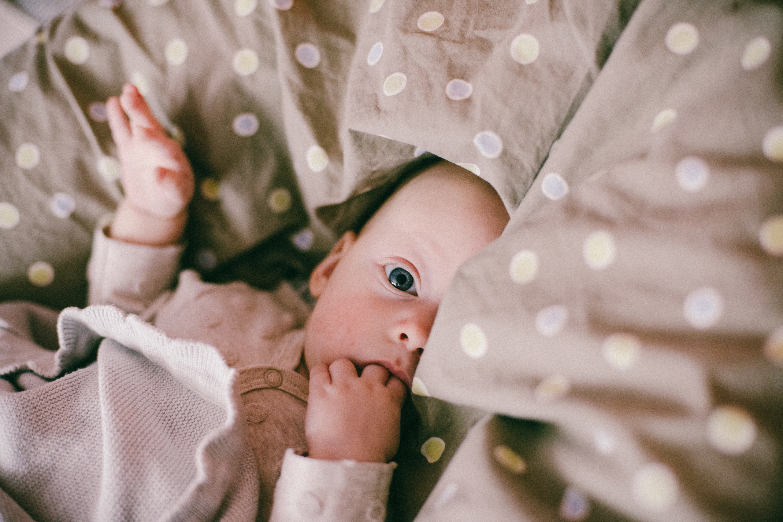 Зимний мальчик. Ksenia Marchand/ Lifestyle photographer in Paris