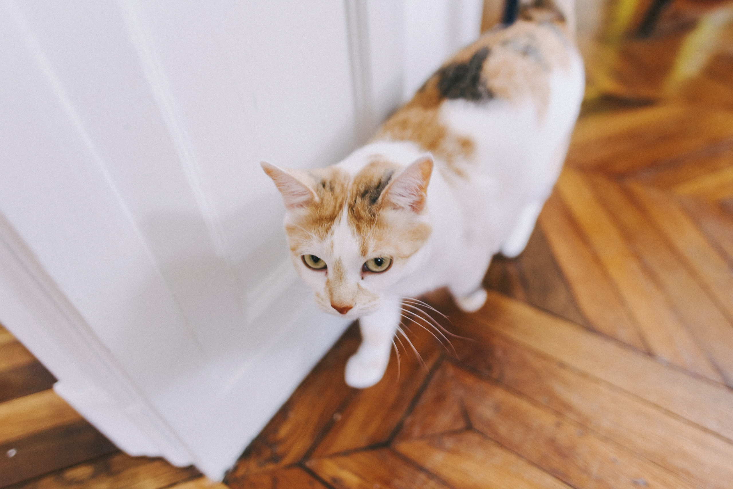 Il était une fois à Paris. Photographe lifestyle à Paris