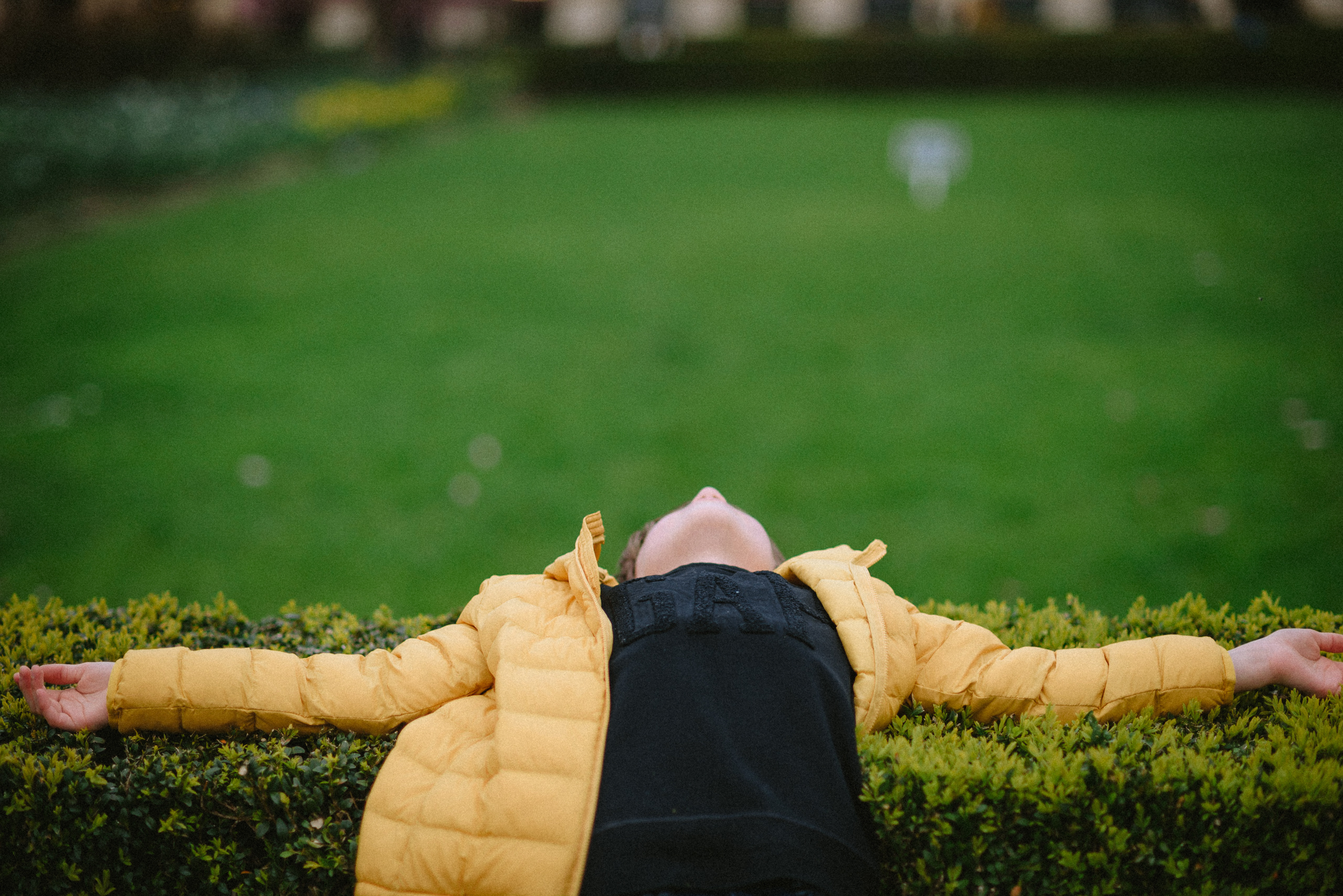 Магнолии в цвету. Ksenia Marchand/ Lifestyle photographer in Paris