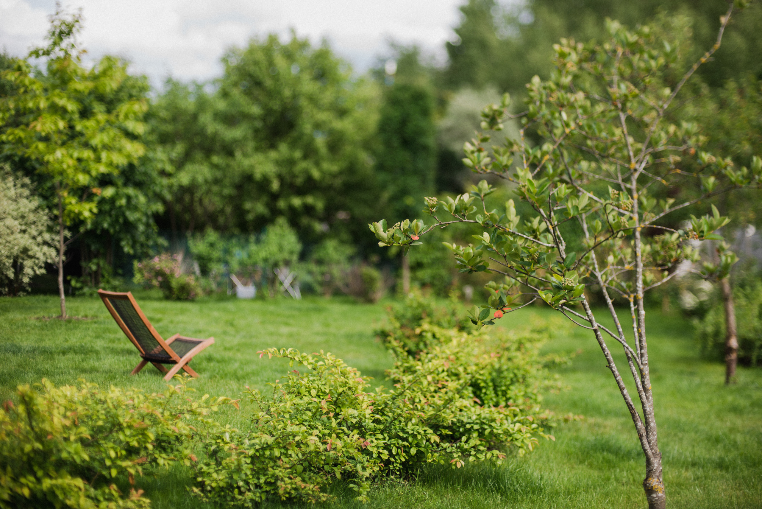 Семейное гнездо. Ksenia Marchand/ Lifestyle фотограф в Париже