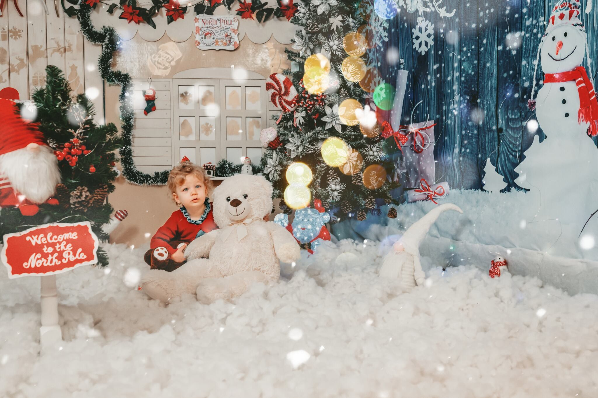 Sedinta Craciun Lucian