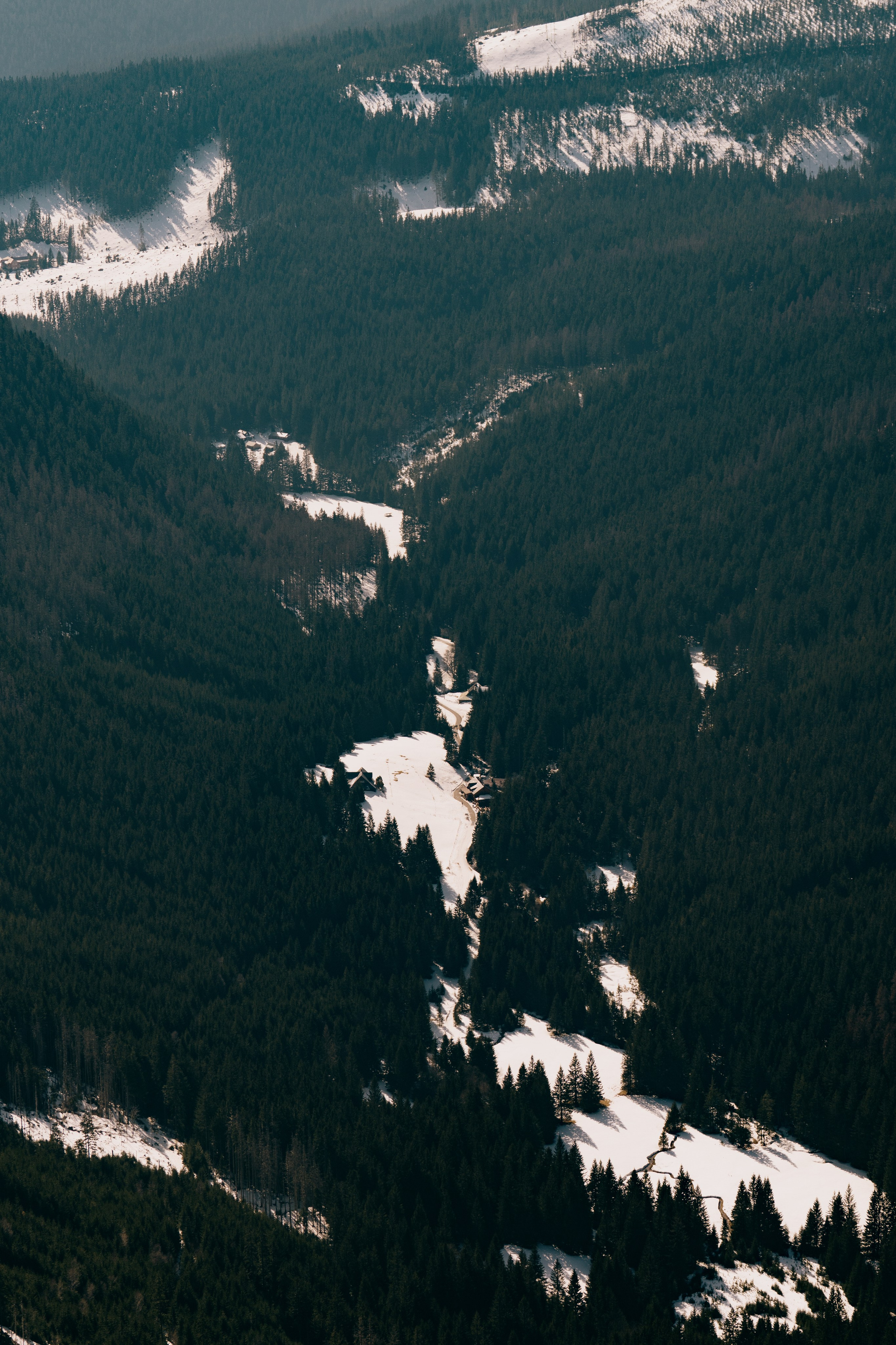 Landscape. Fotograf Poznan