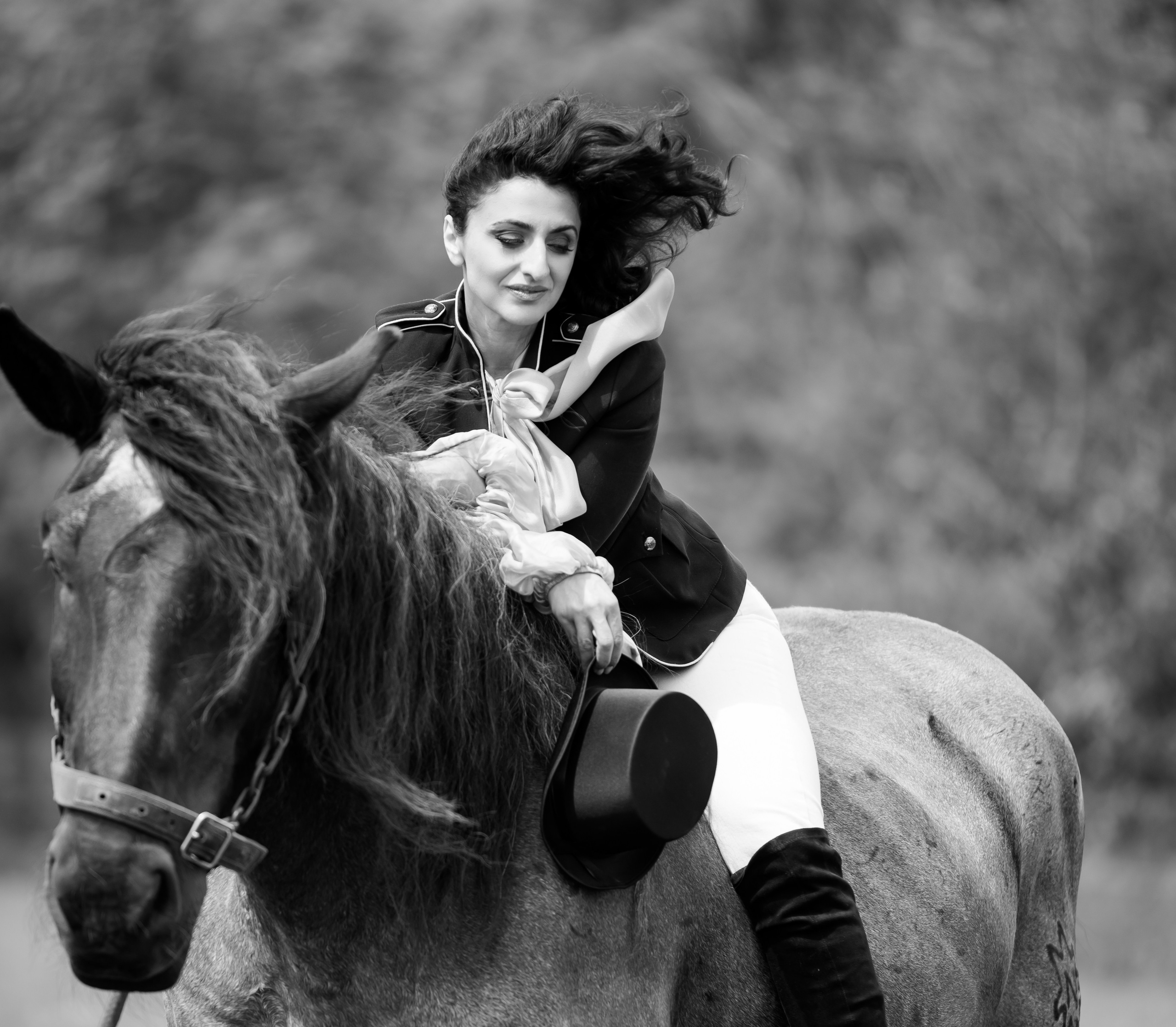 Photoshoot with Horses. Professional Photograher, Antwerpen/Belgium