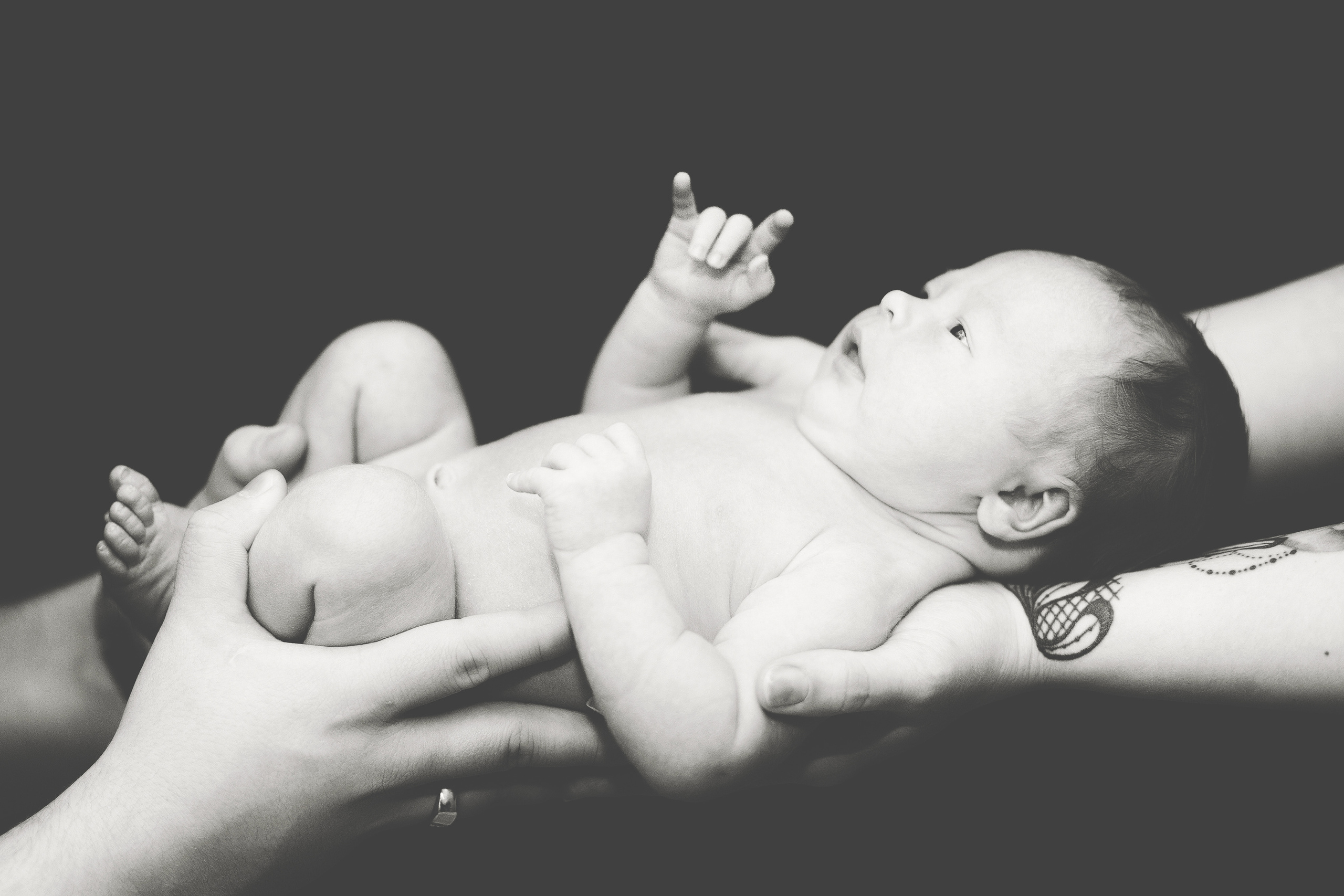 Vauvat. Senjakulmala.fi