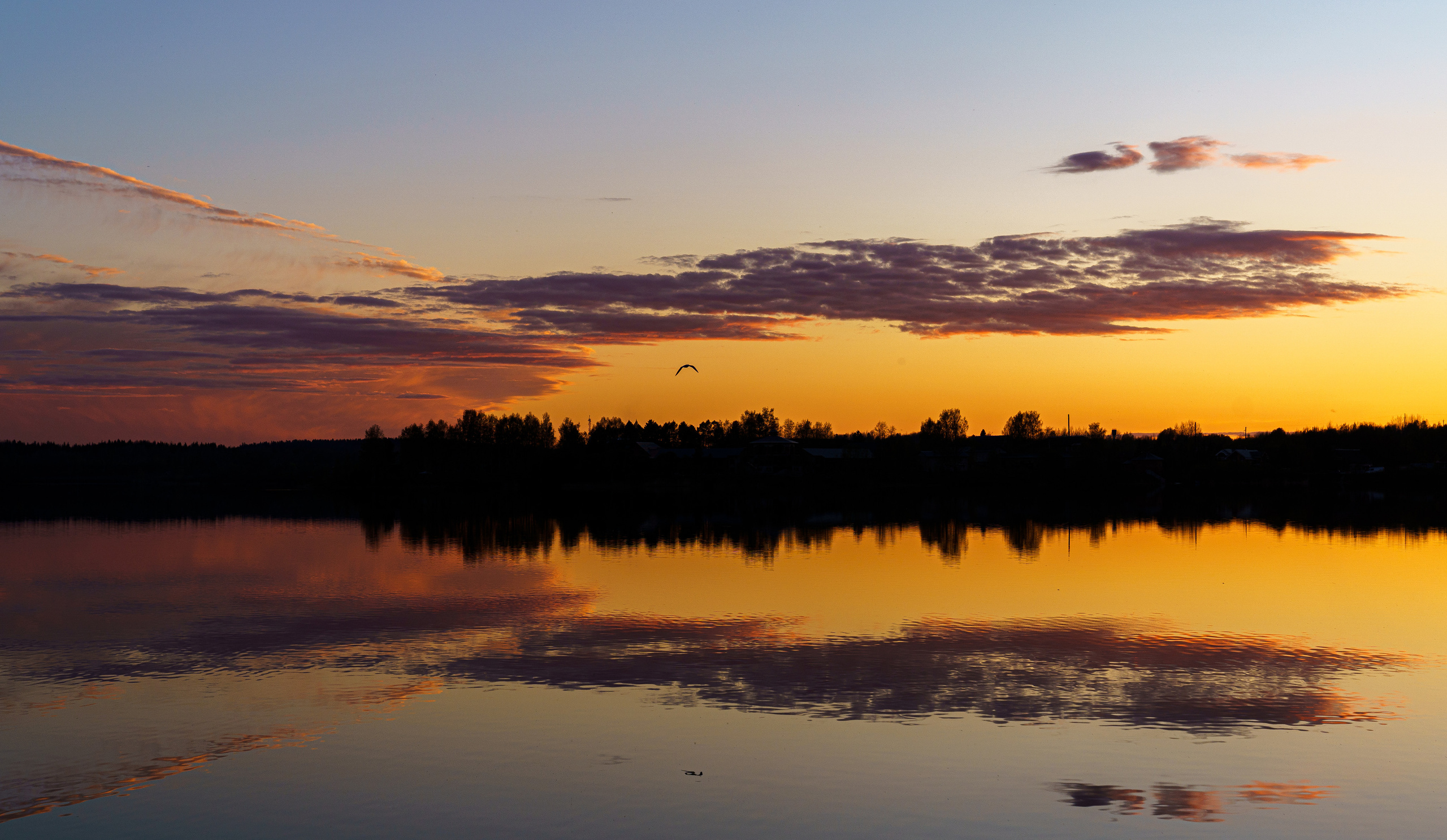 Romsha. Unit still photographer Roman Galasun