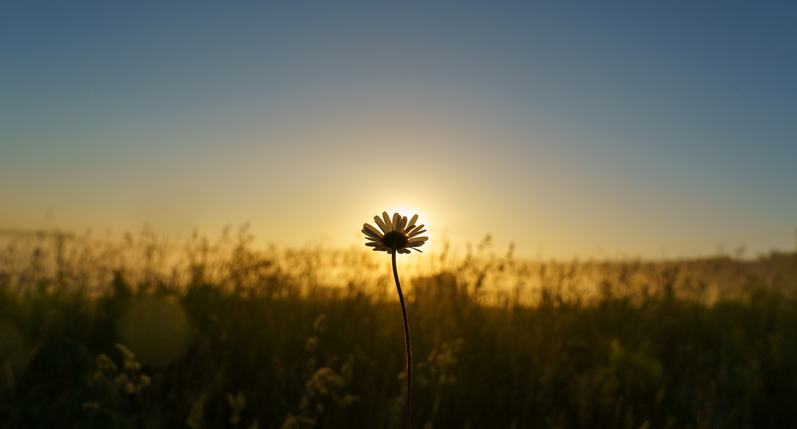 Romsha. Unit still photographer Roman Galasun