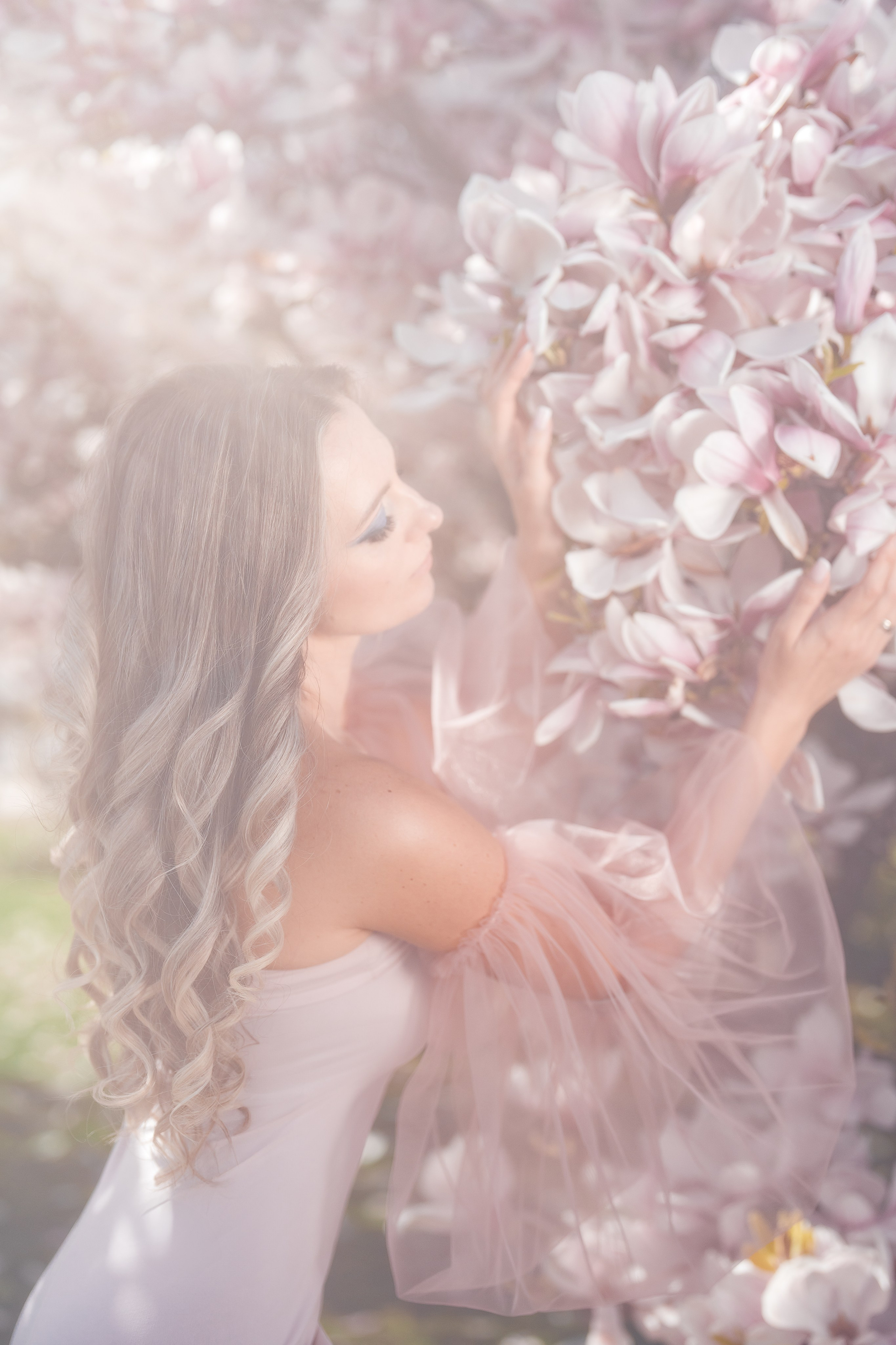 Magnolia. Family, Lifestyle and Portrait photograher in Trier, Germany