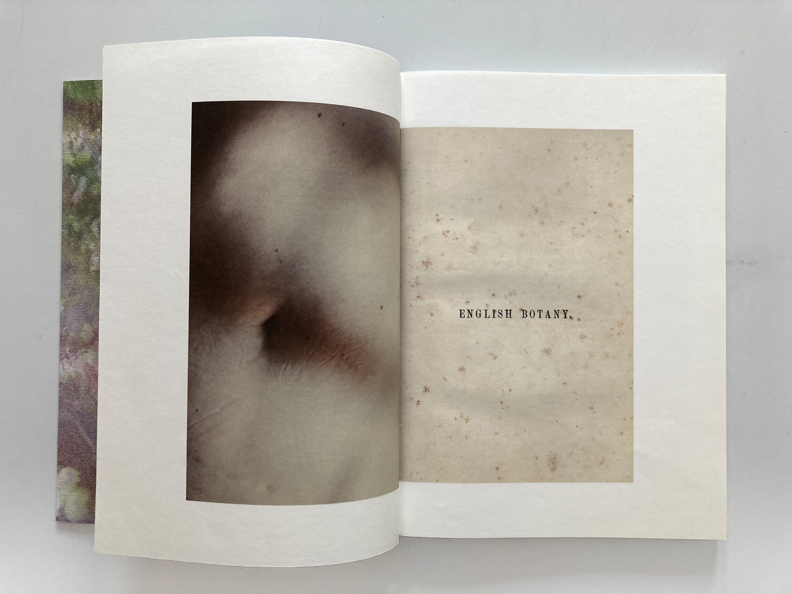 The Garden of Earthly Delights. Sveta Kaverina