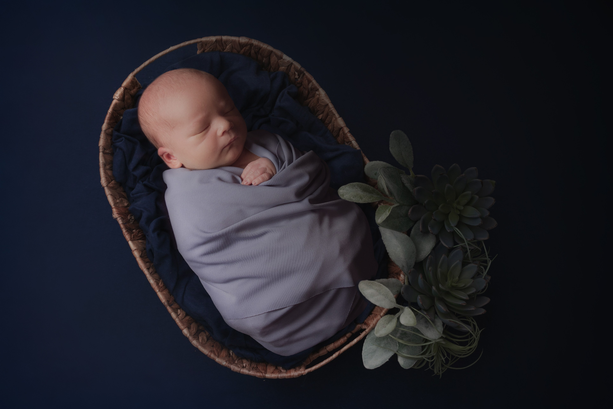 Jasper. Maternity Newborn and Family photographer Hamburg Claire Hambley