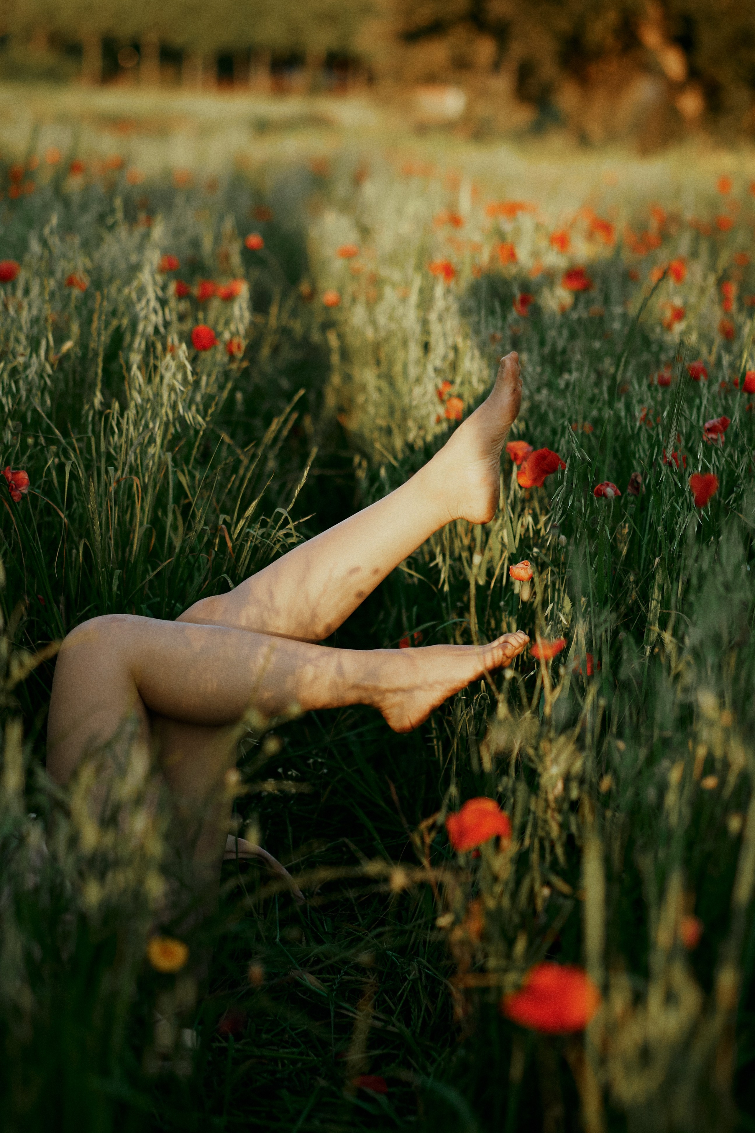 Кунсулу. Дочь Степей. Маки. Фотограф в Барселоне Жанна Захарченко