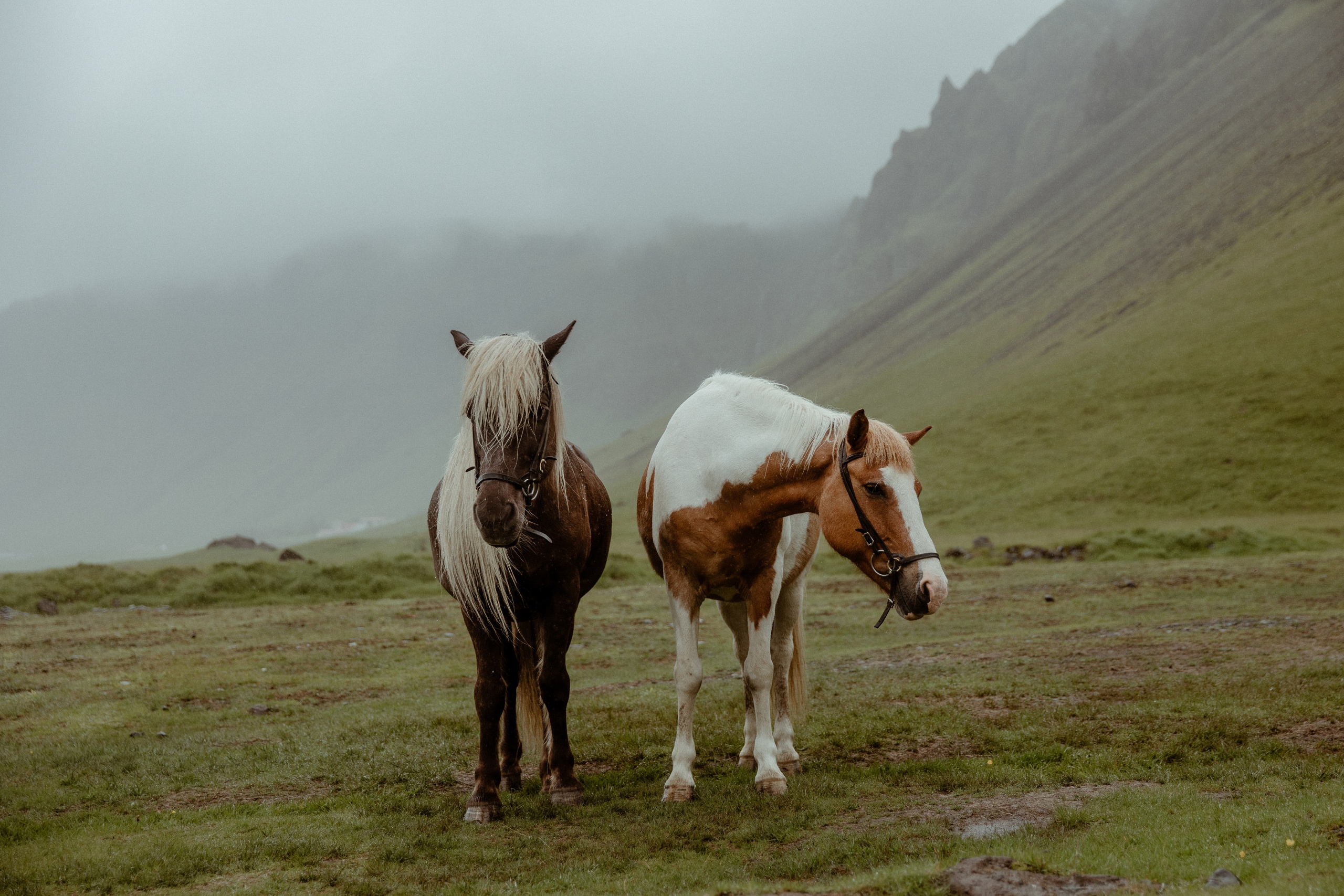 Elopement at Kvernufoss Waterfall. Iceland elopement photo and video | Nikolaichik Photo