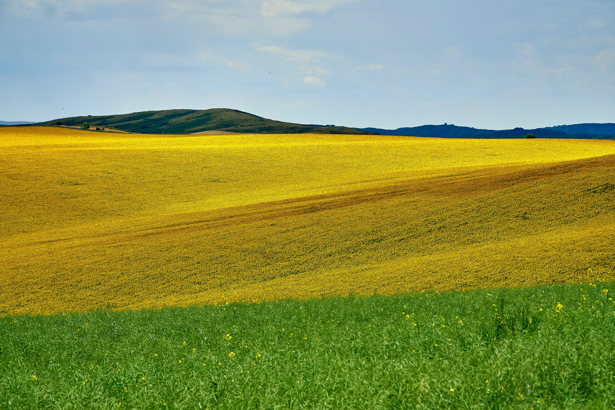 Бухтарма. Андрей Шипилов — Фотография & Видеография